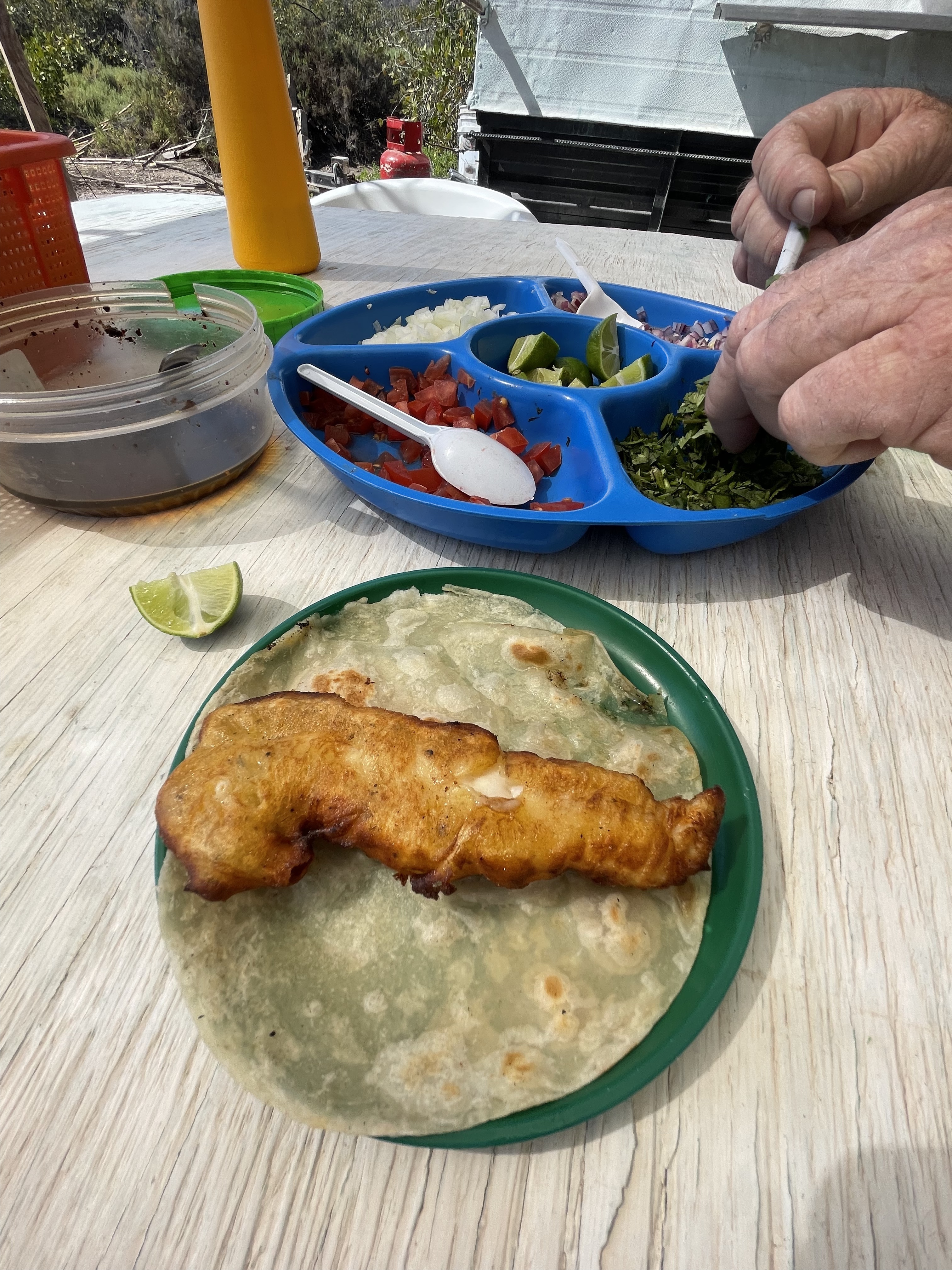 Birote's Everybody image 10