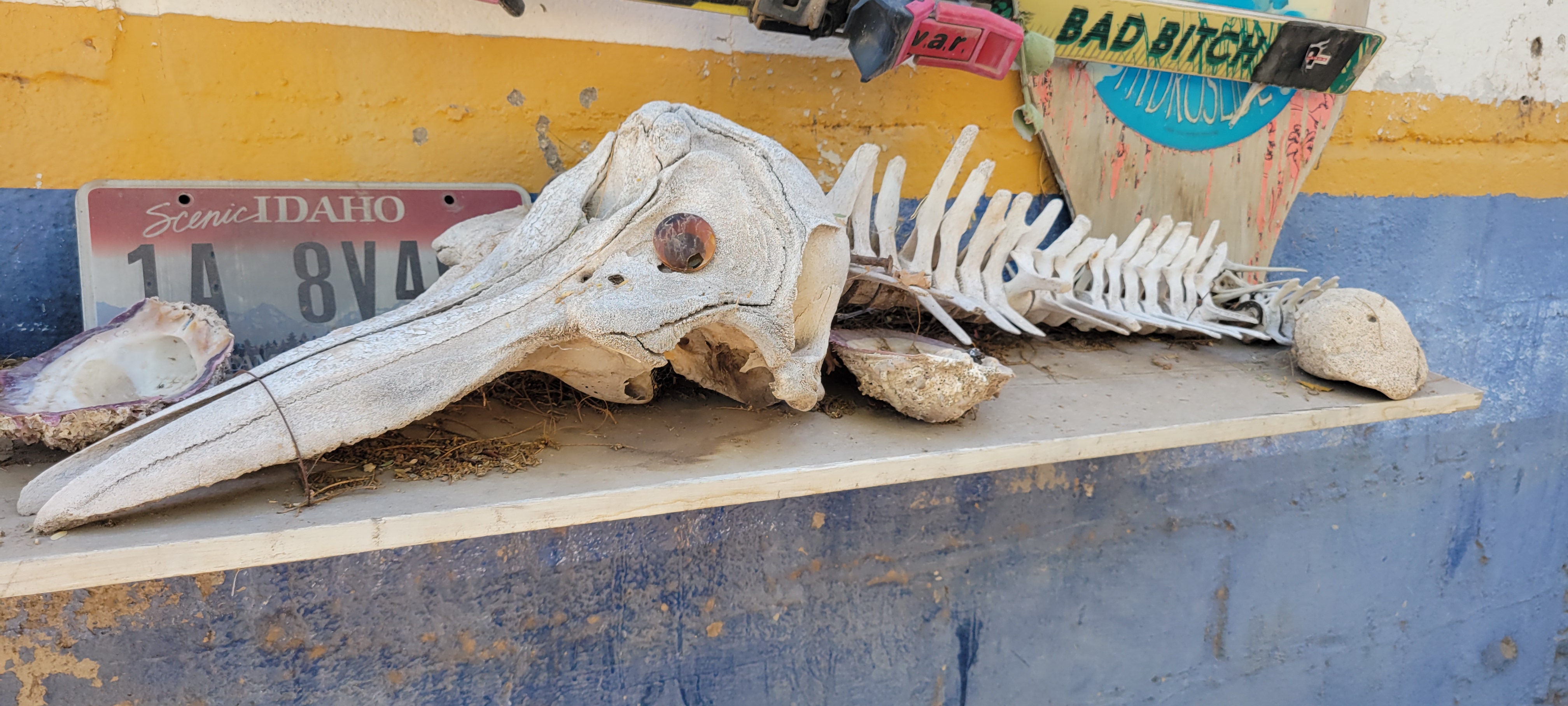 Restaurant JC'S image 8