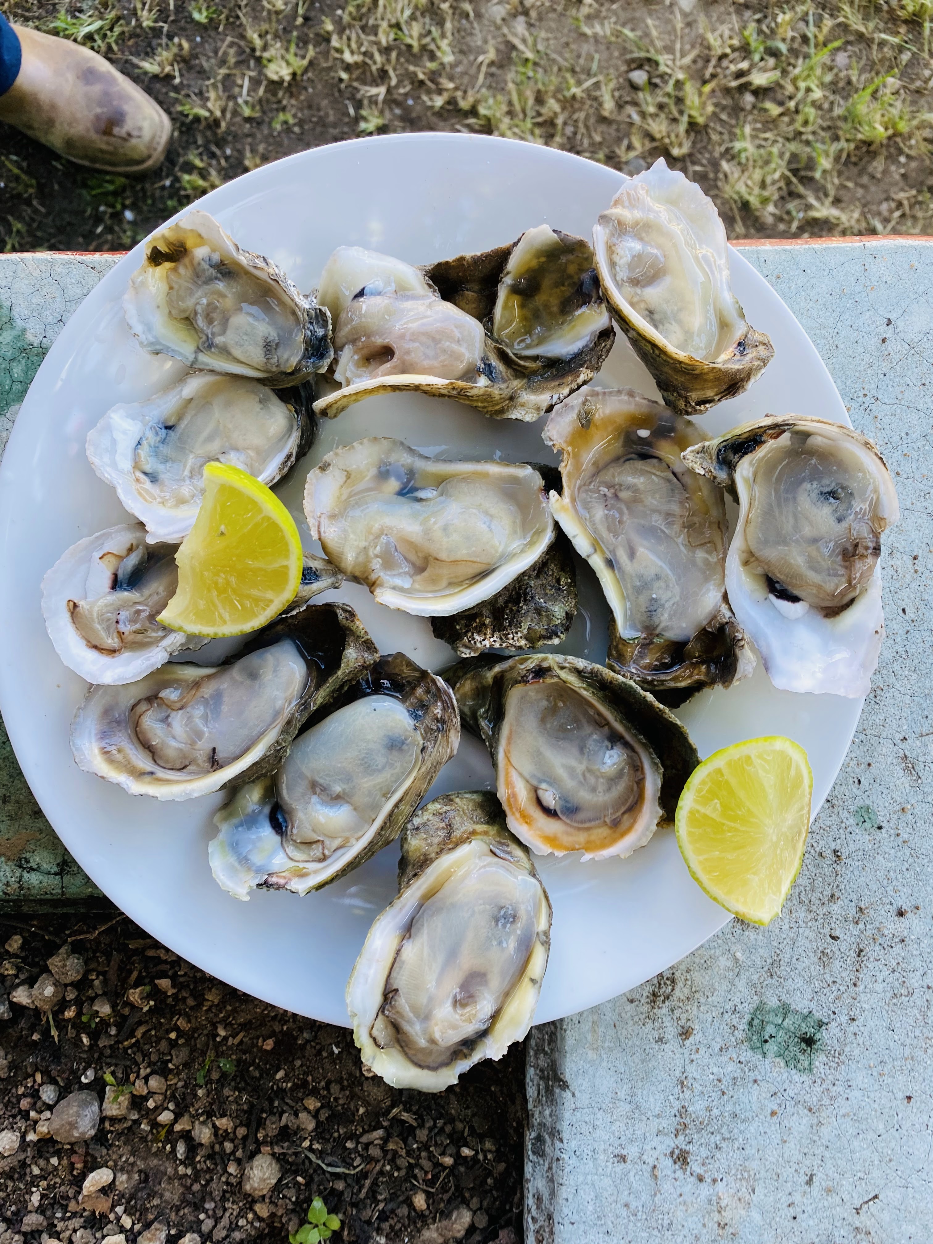 Marisqueria “El Bucito” Suc Ayoquezco image 2