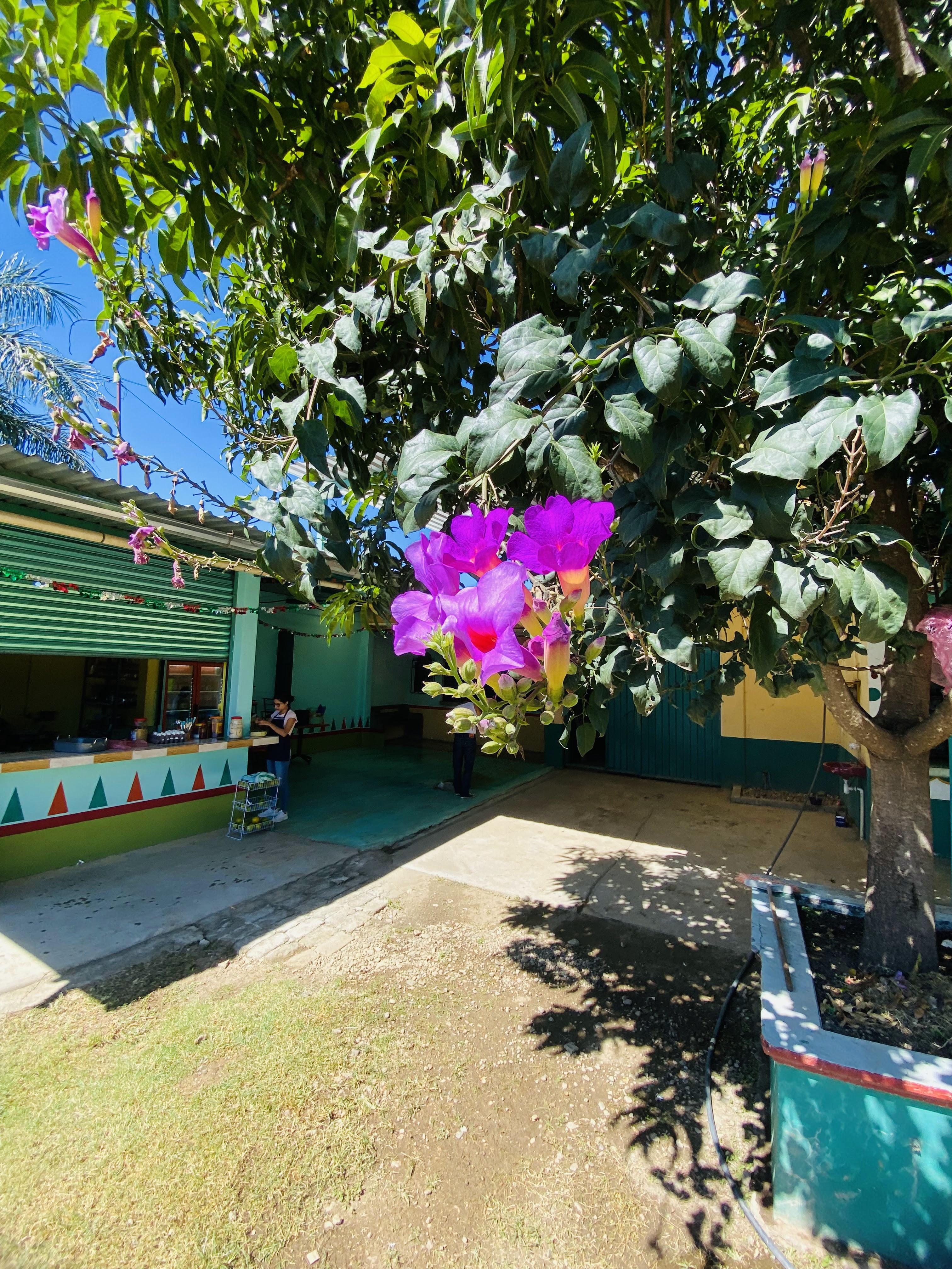 Marisqueria “El Bucito” Suc Ayoquezco image 8