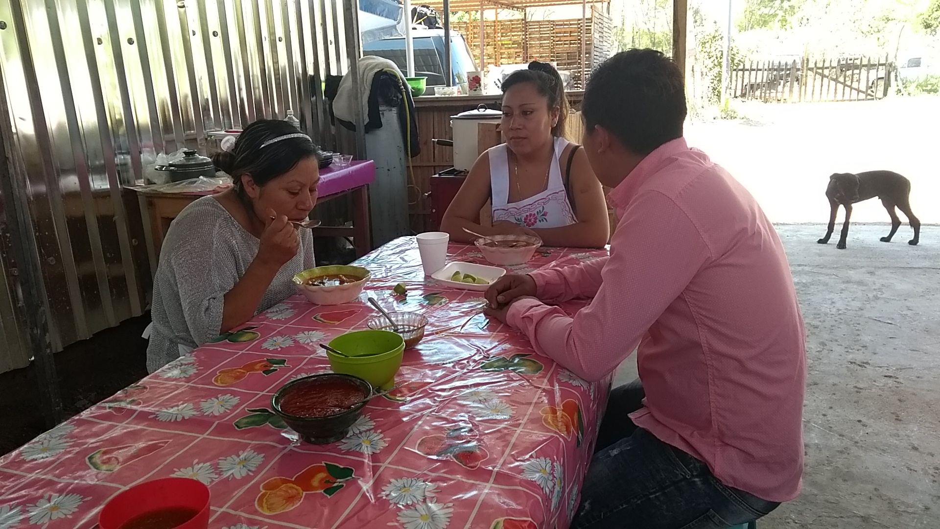 COMEDOR EL COYOTE image 5