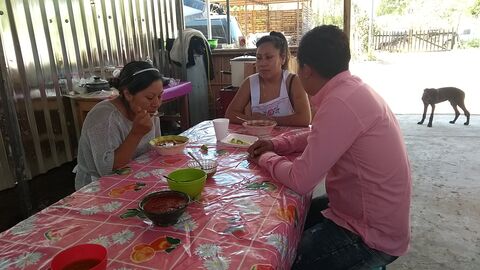 COMEDOR EL COYOTE image 5