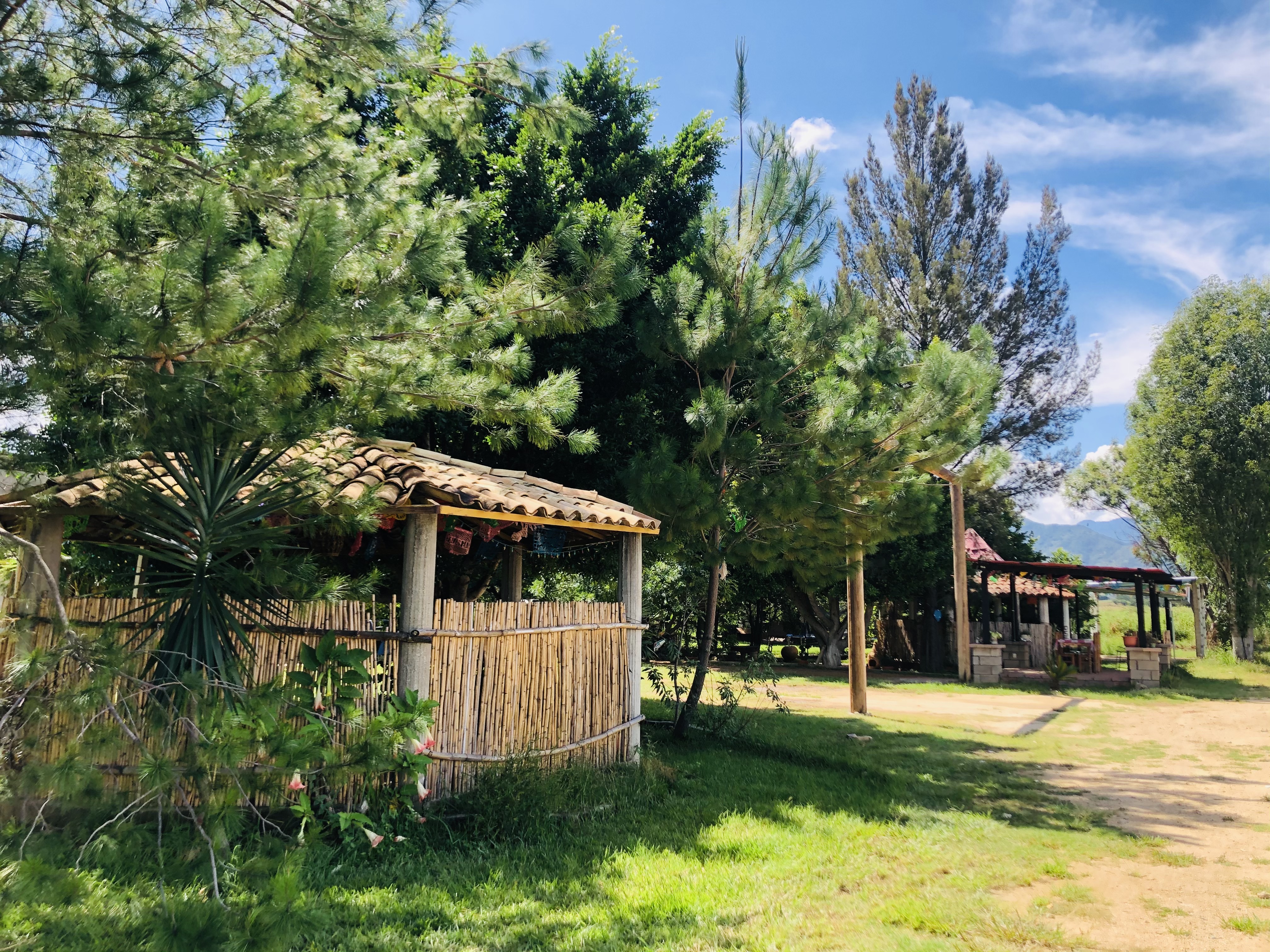 Restaurante Las Palapas image 5