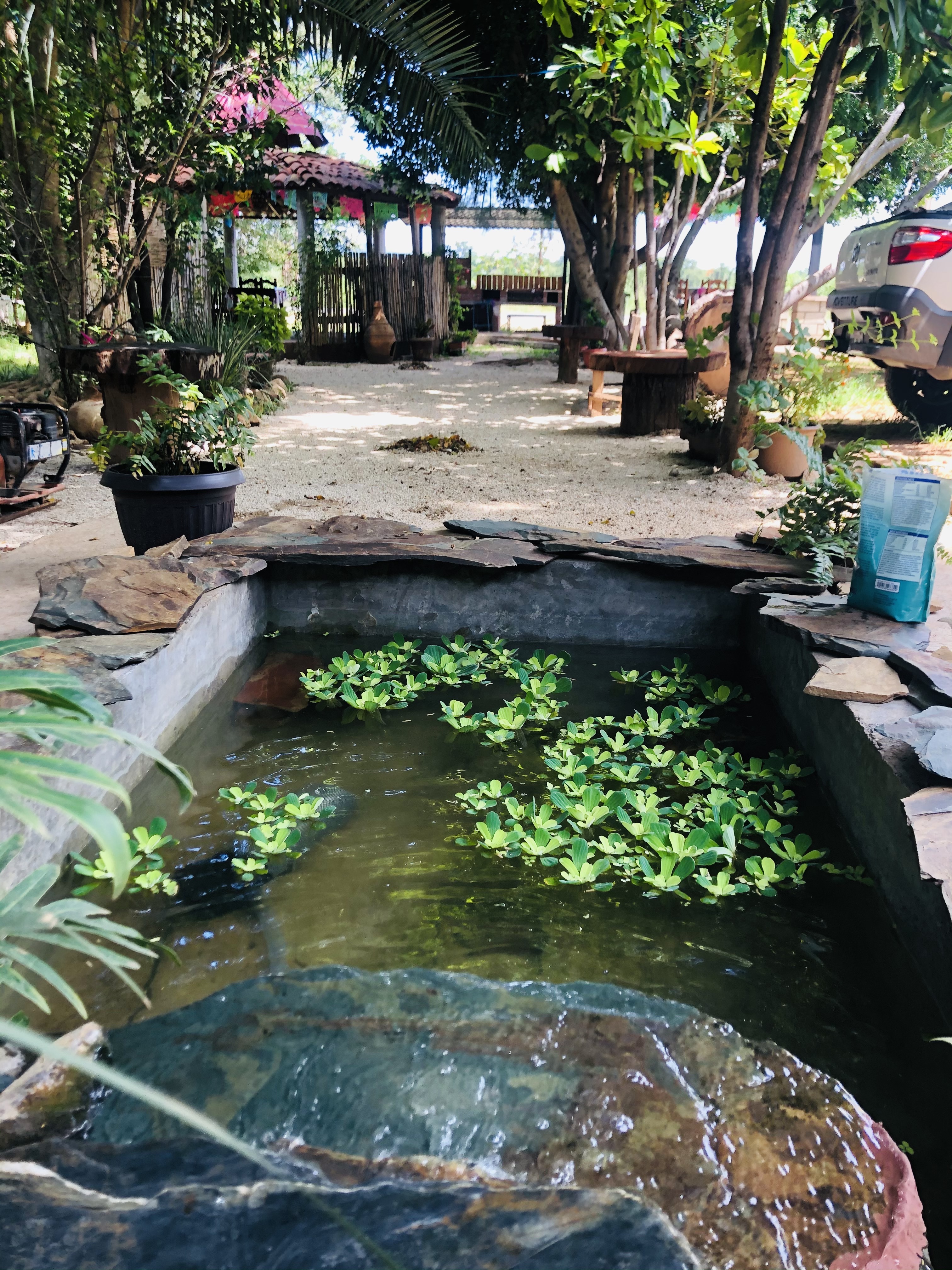 Restaurante Las Palapas image 8