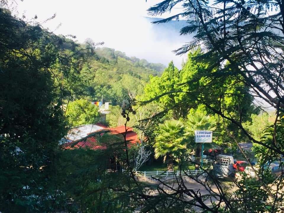 Restaurant Del Sur. image 5