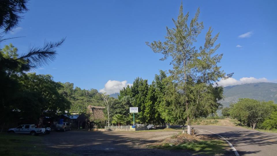 Restaurant Del Sur. image 8