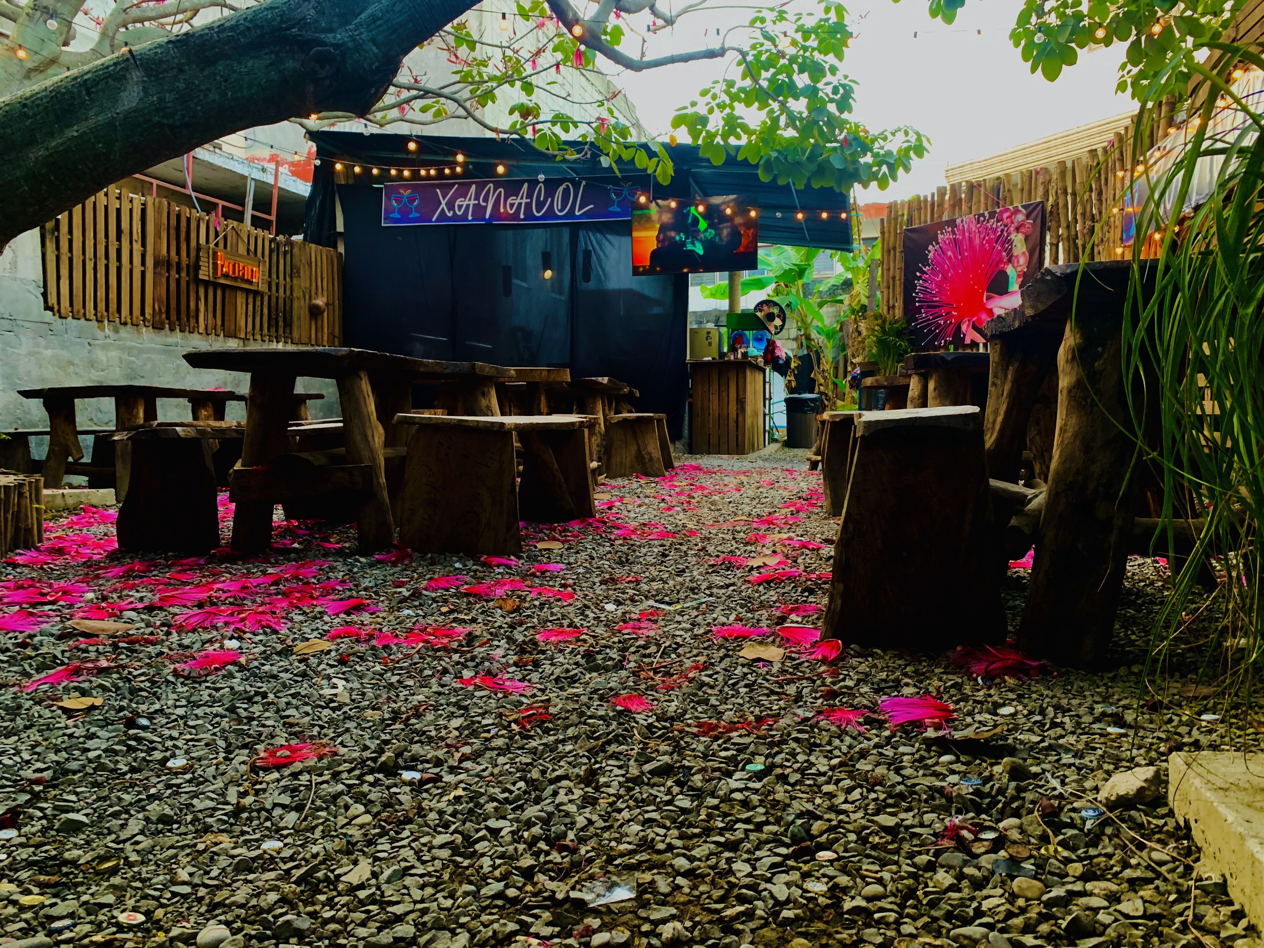 Xanacol Sport Wings & Burguer image 3