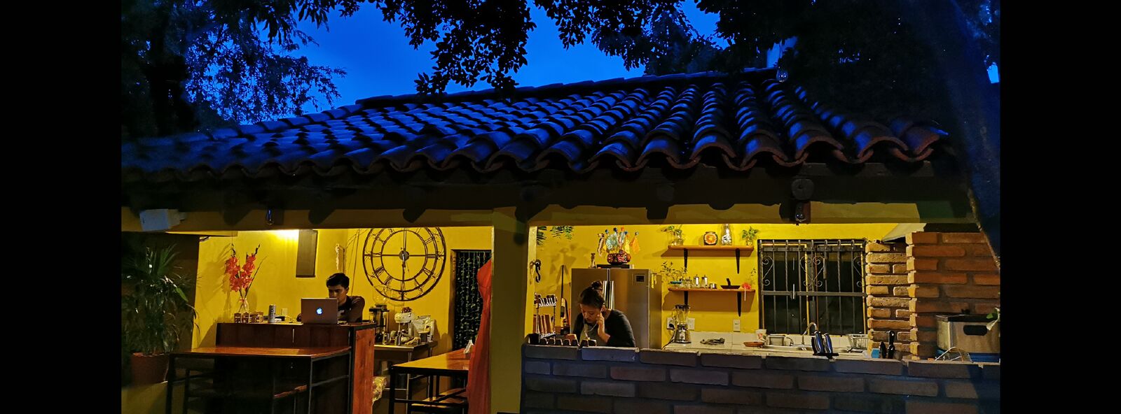 Gushu image 3