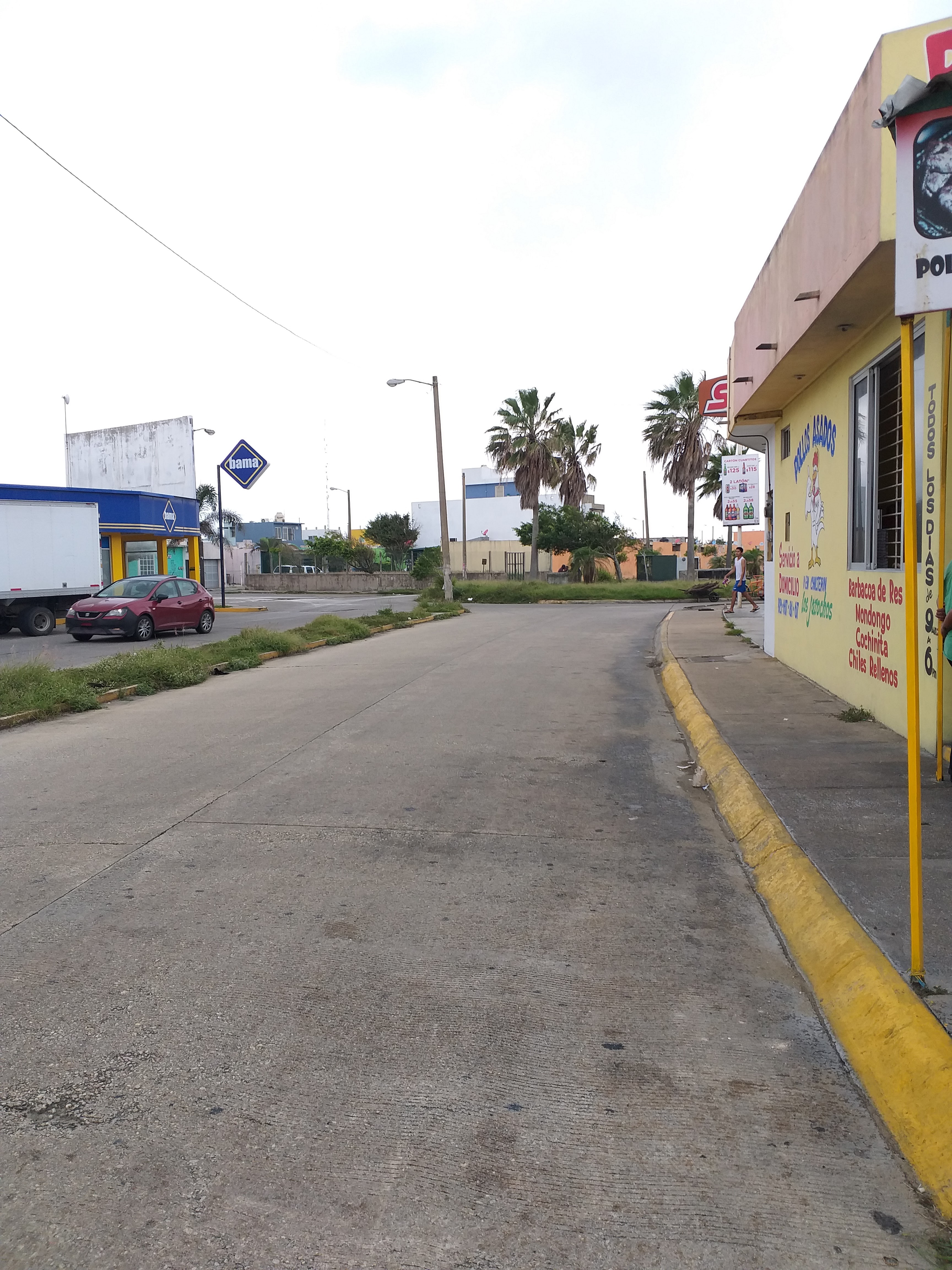 Pollos asados y al chiltepin los jarochos 2 image 3