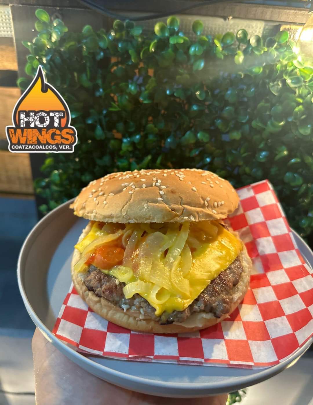 Hot Wings - Coatza image 2