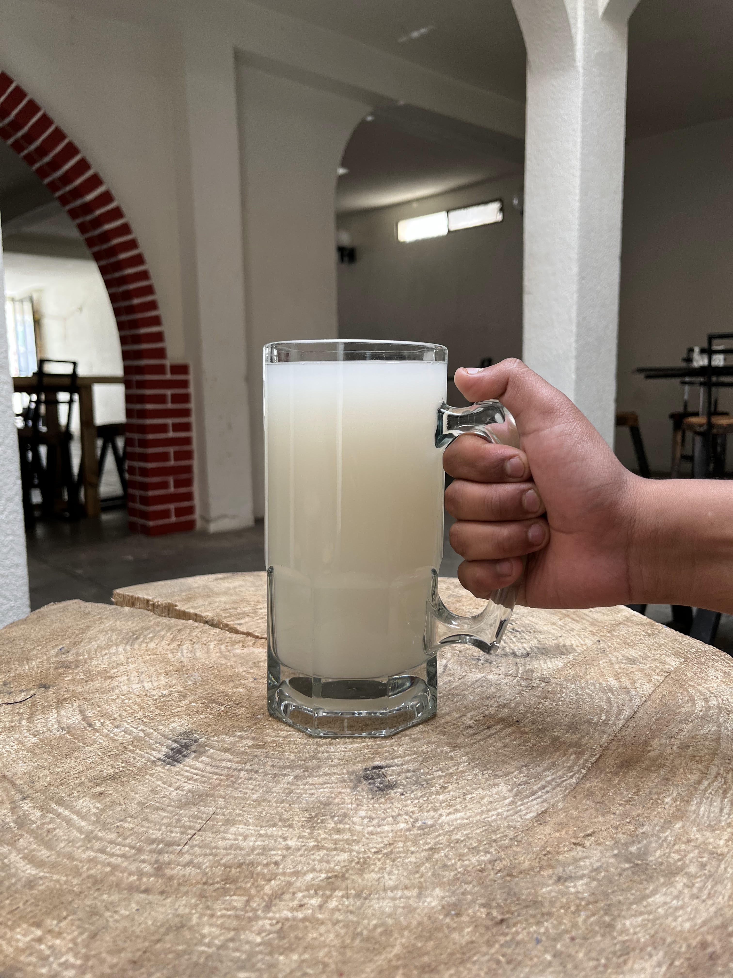 Casa Maguey Atltzayanca image 2