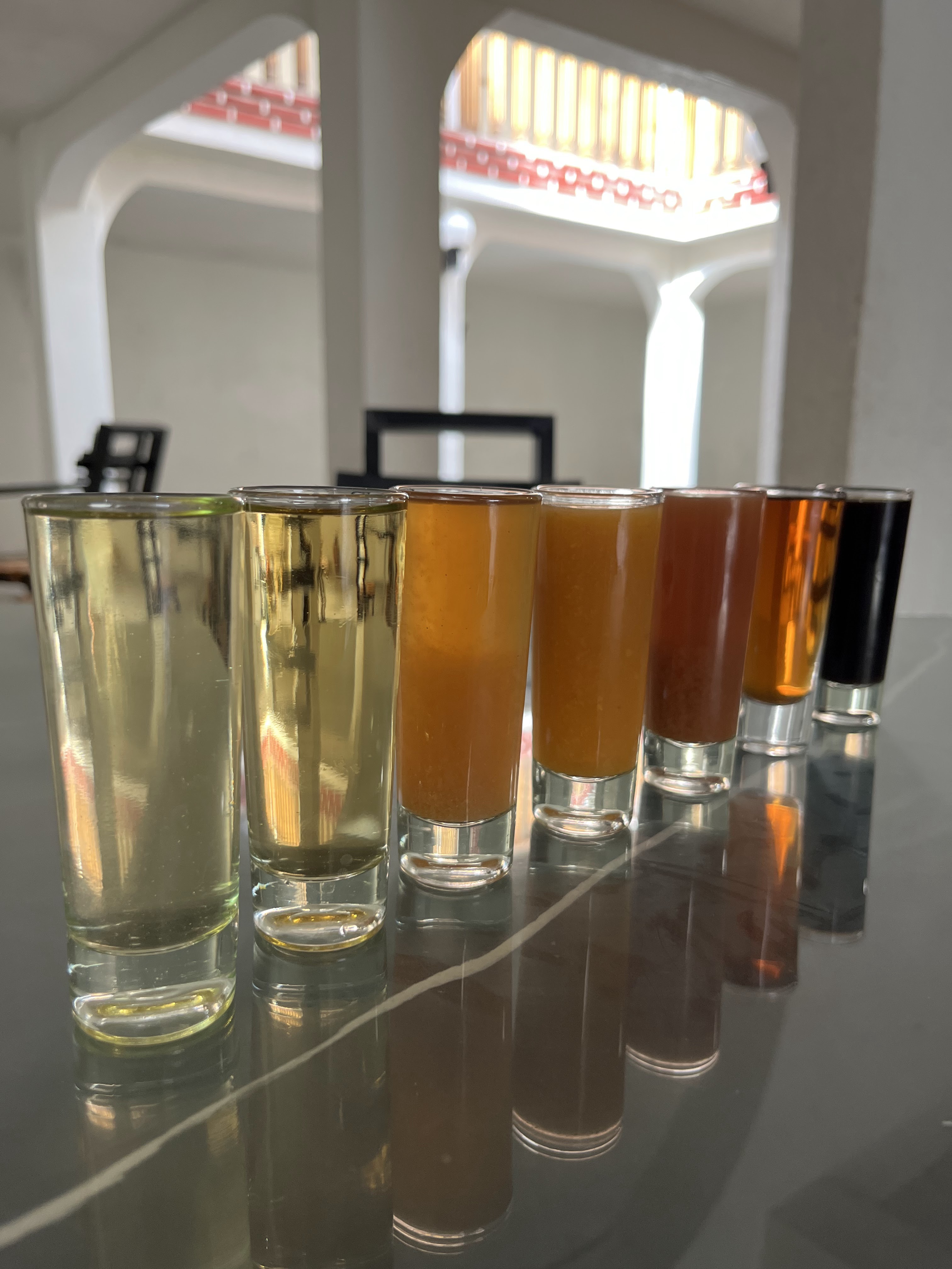 Casa Maguey Atltzayanca image 5