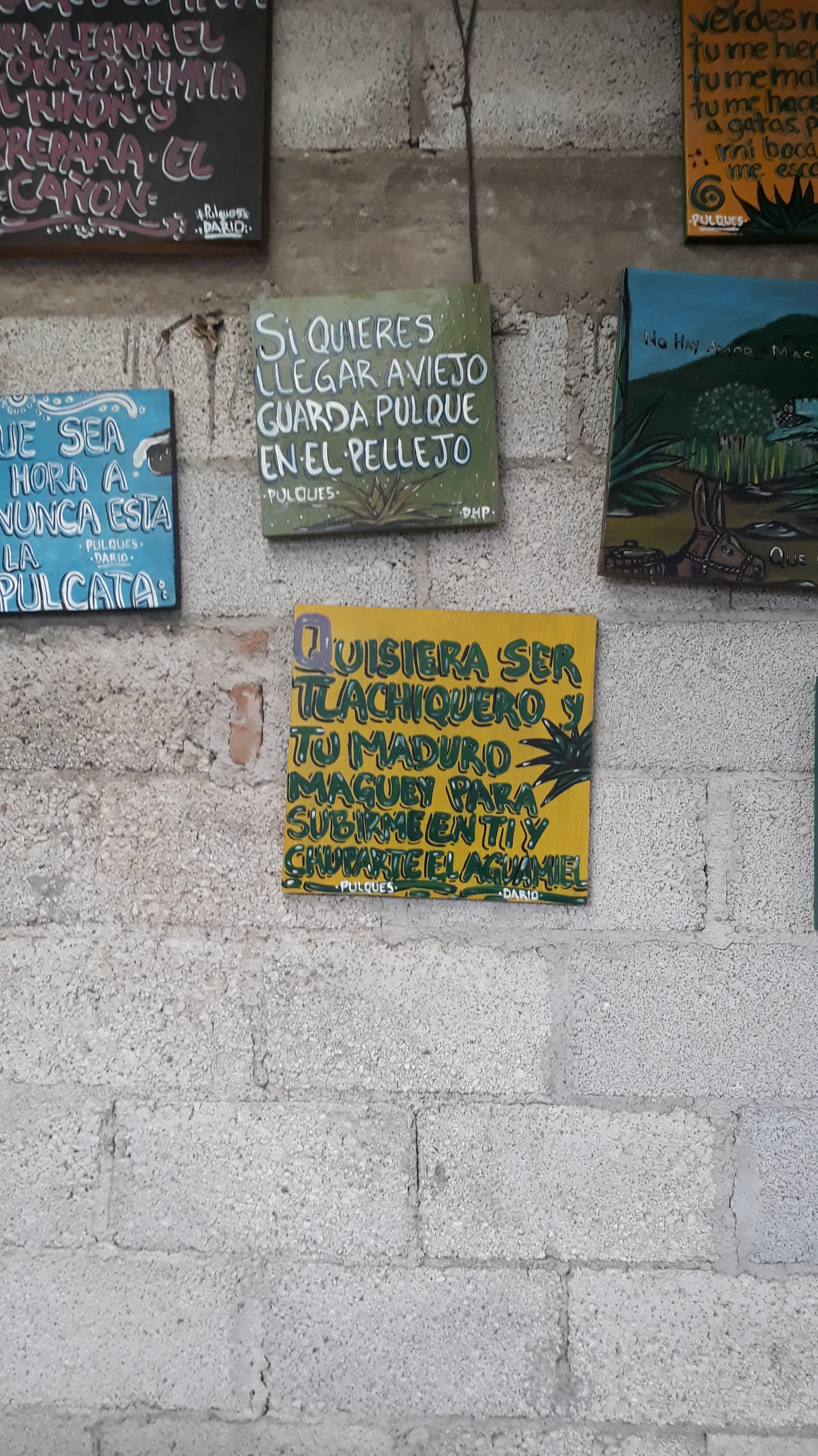 Pulques dario image 4