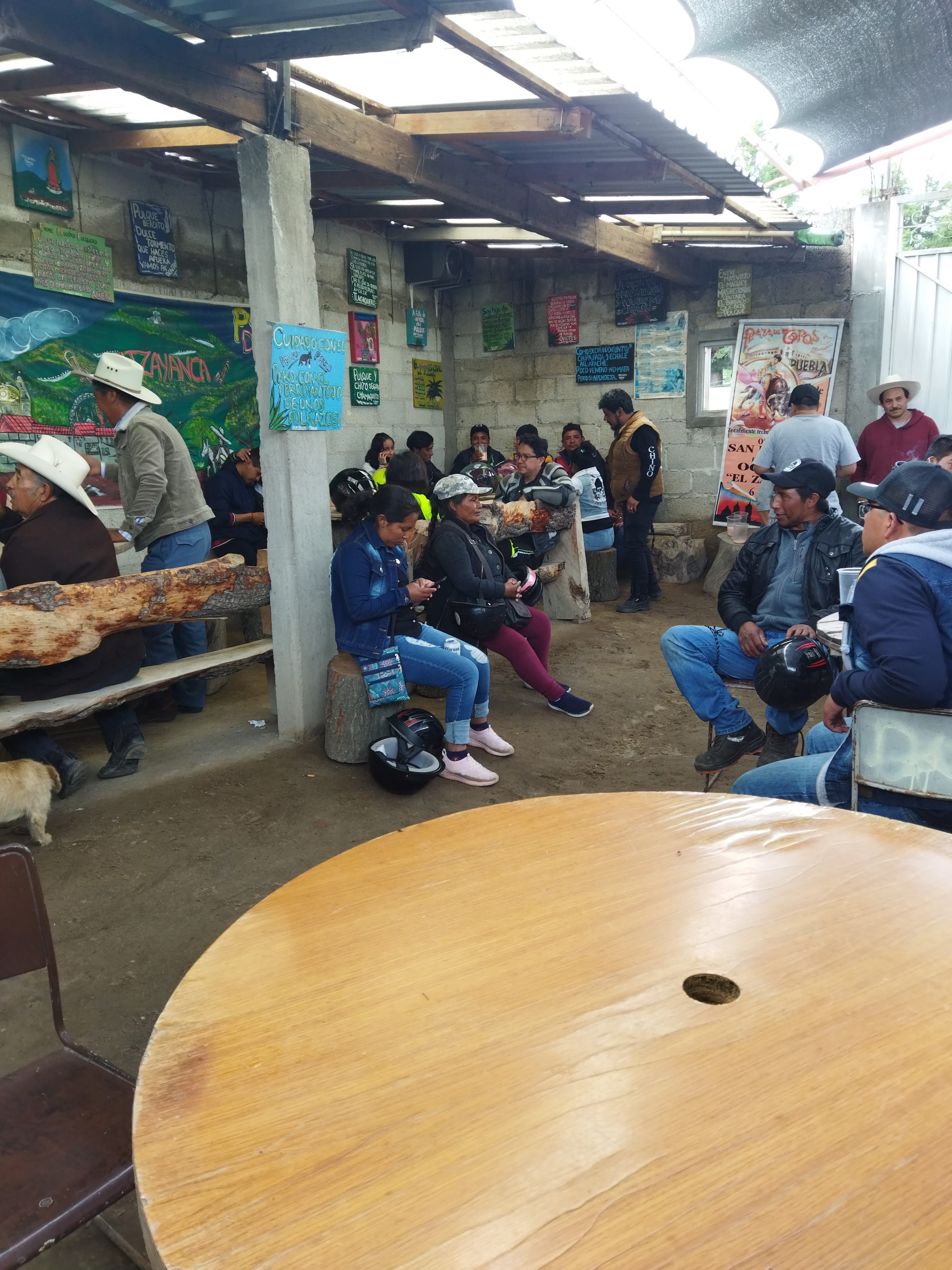 Pulques dario image 7