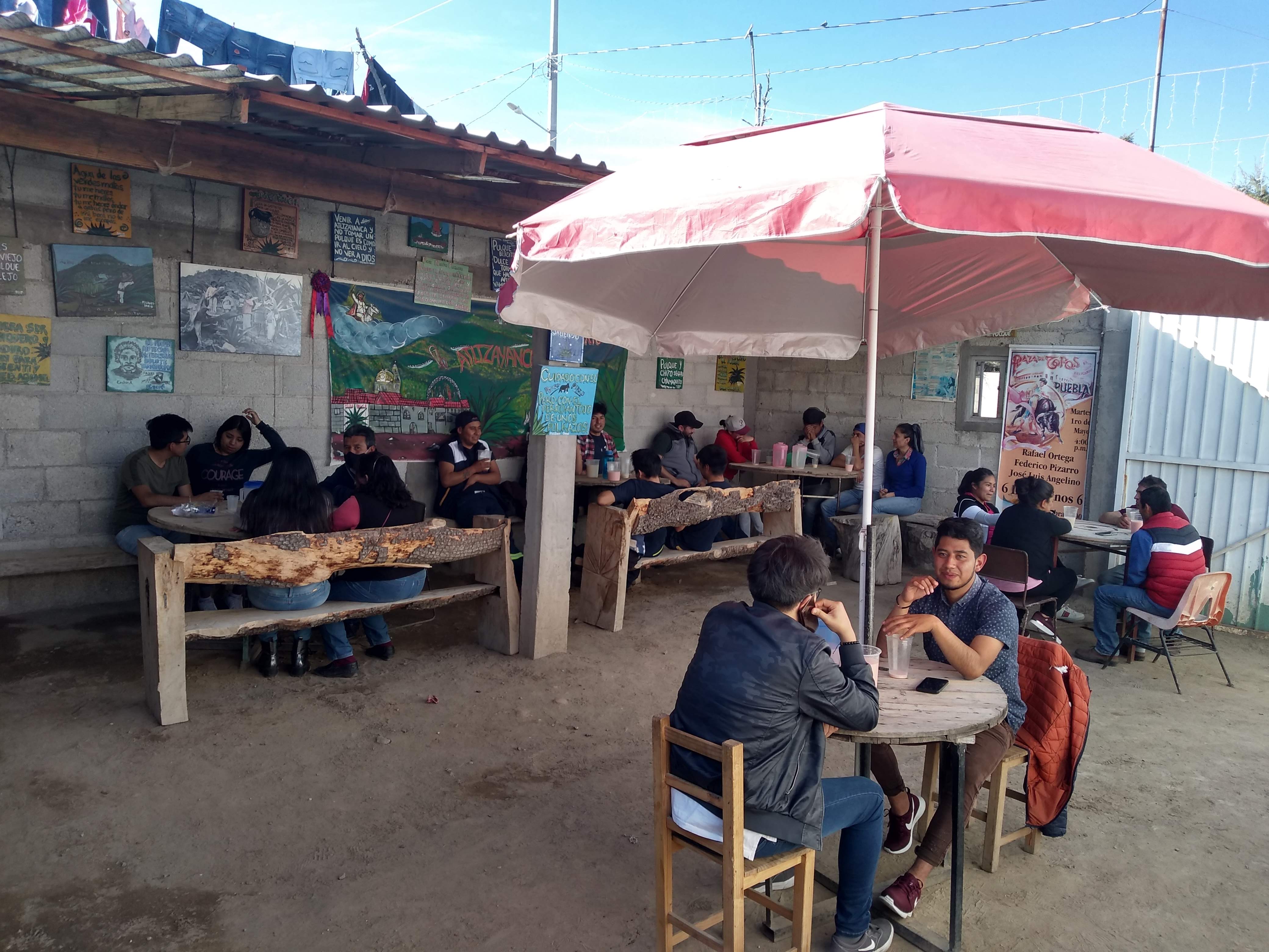 Pulques dario image 9