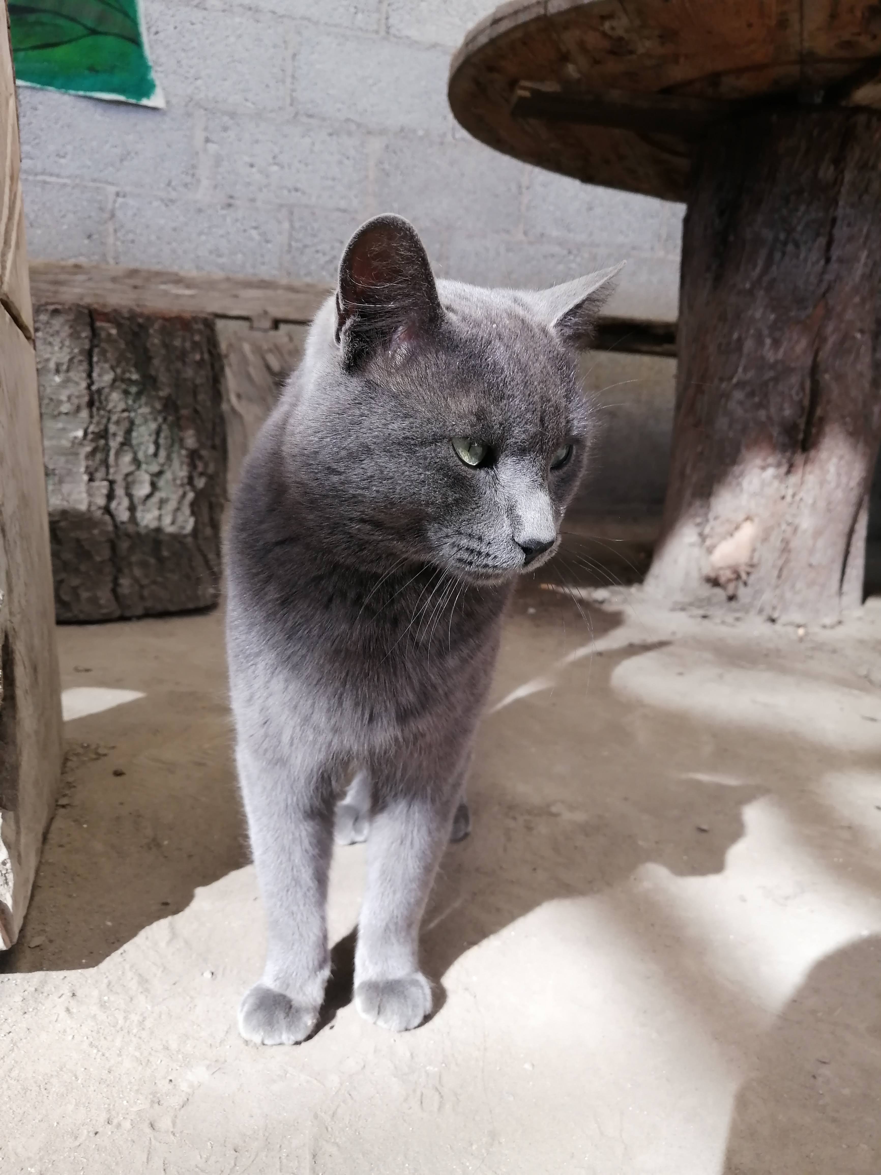 Pulques dario image 10