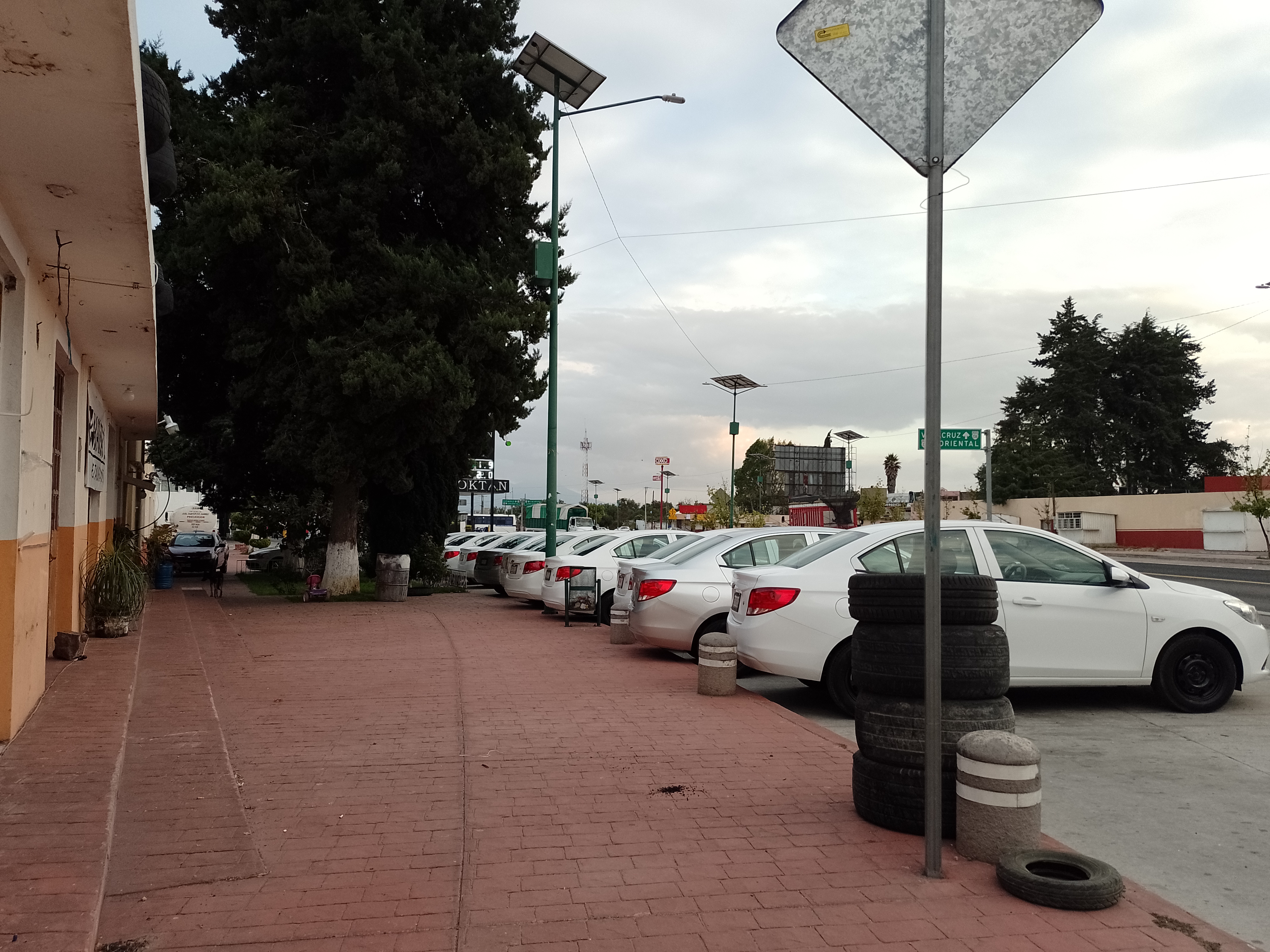 Restaurante paraiso 2 image 8