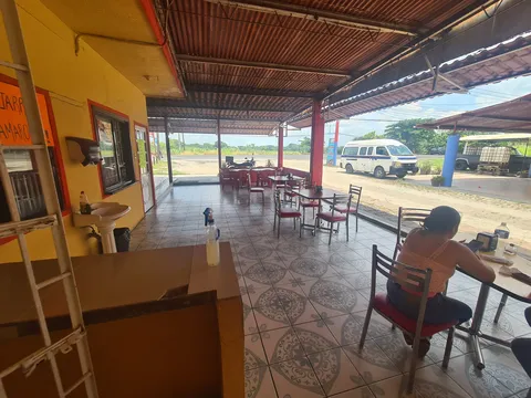 Pollo Viajero image 1