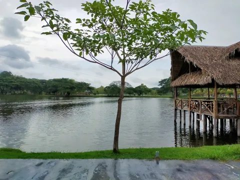 LOS LAGOS image 3