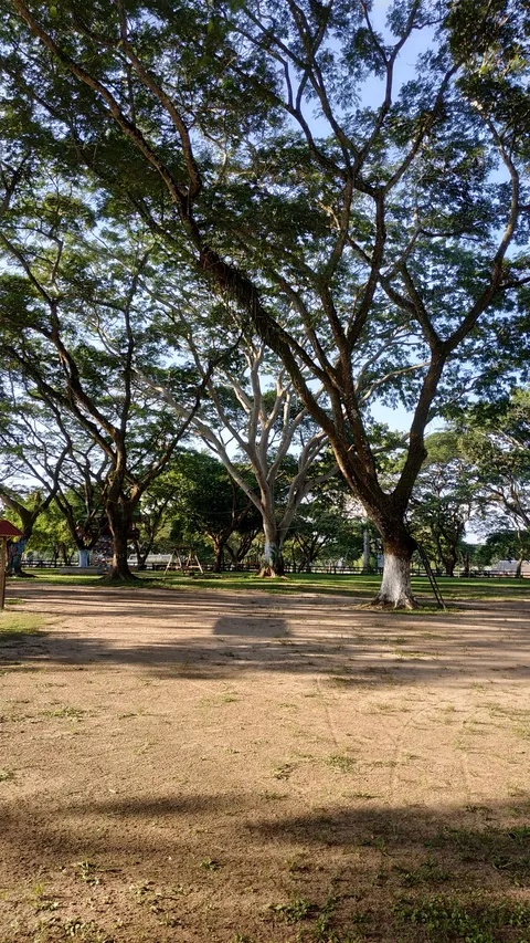LOS LAGOS image 4