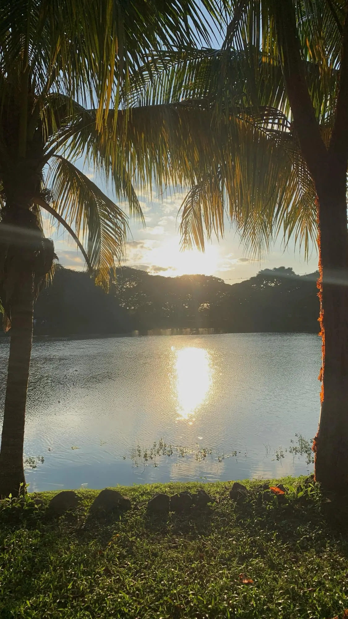 LOS LAGOS image 9