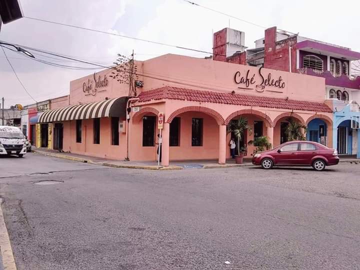 Café Selecto image 5