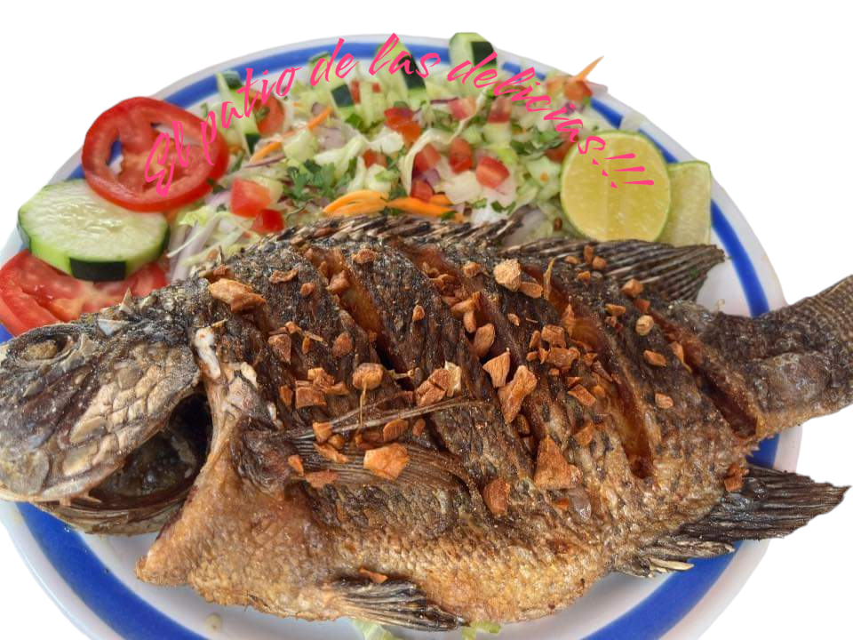 El patio de las delicias image 3