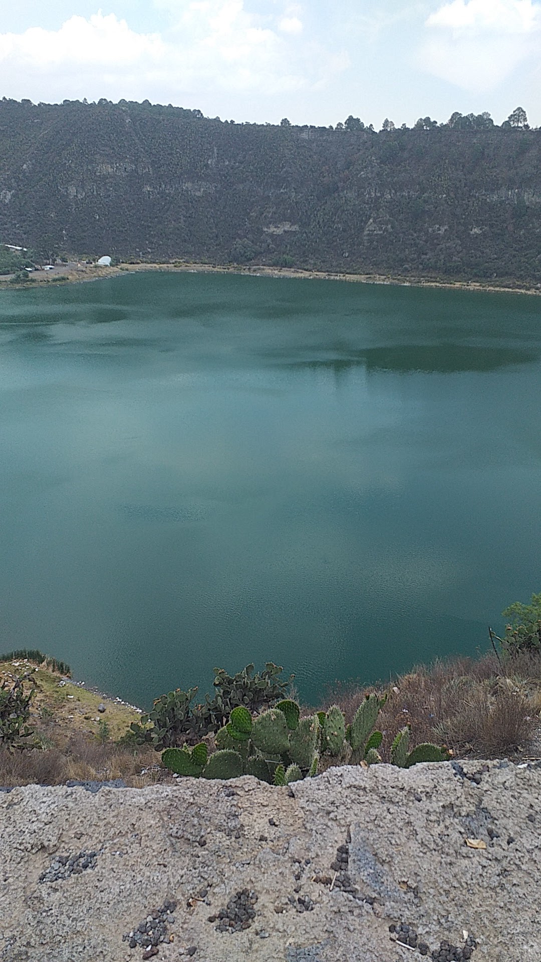 Micheladas Aljojuca image 6
