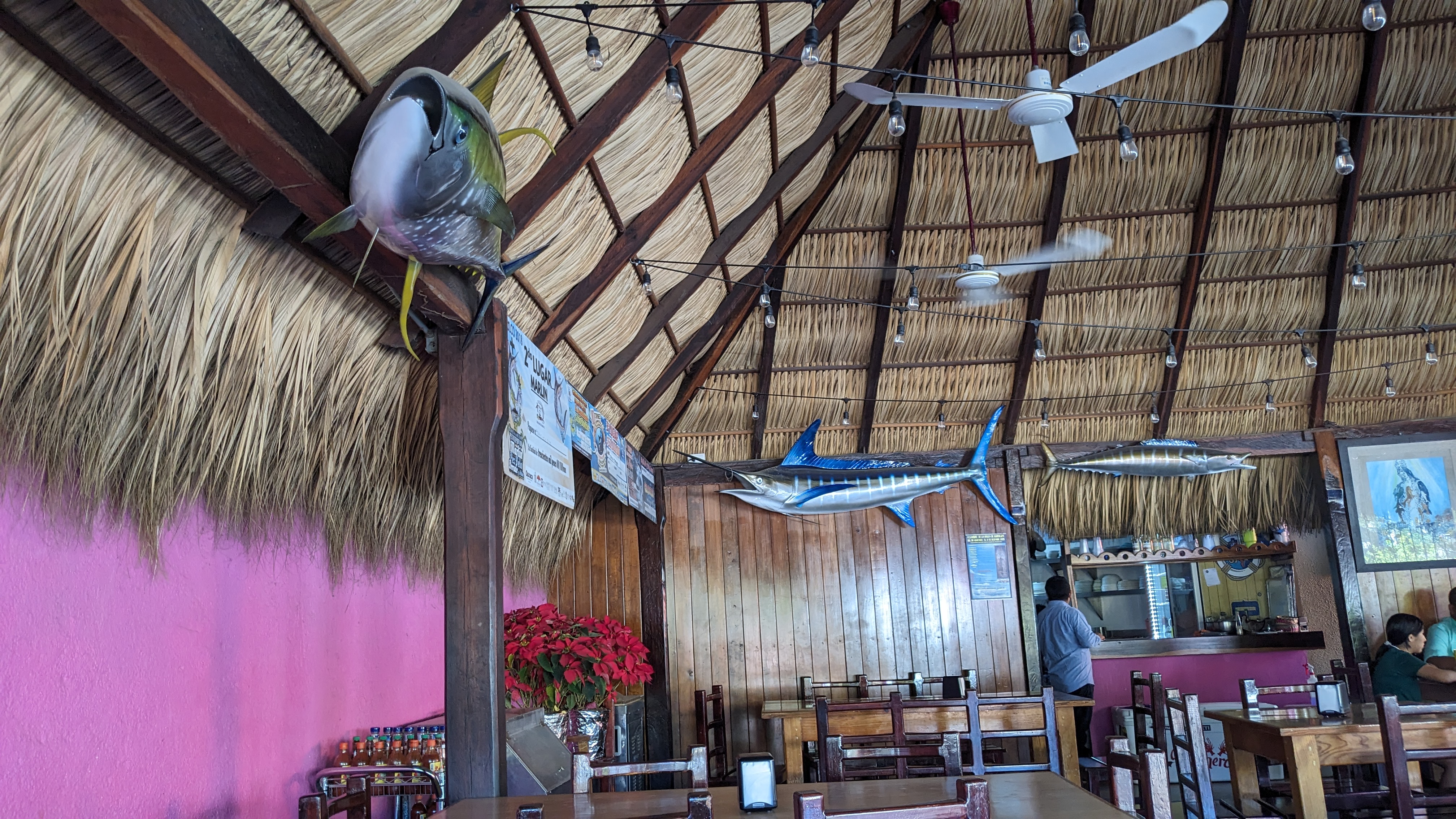 El Grillo Marinero image 4