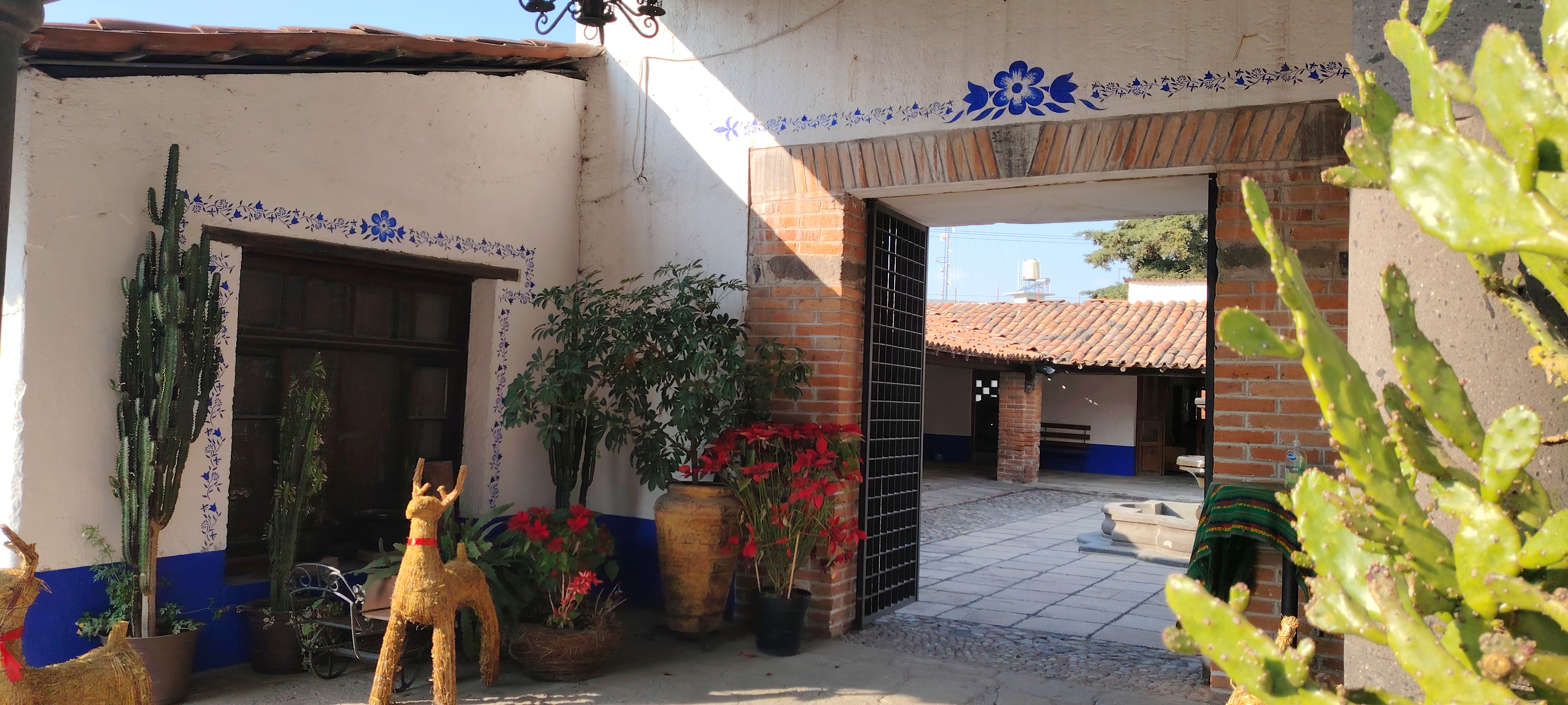 Restaurant Bar "Las Cúpulas" image 1