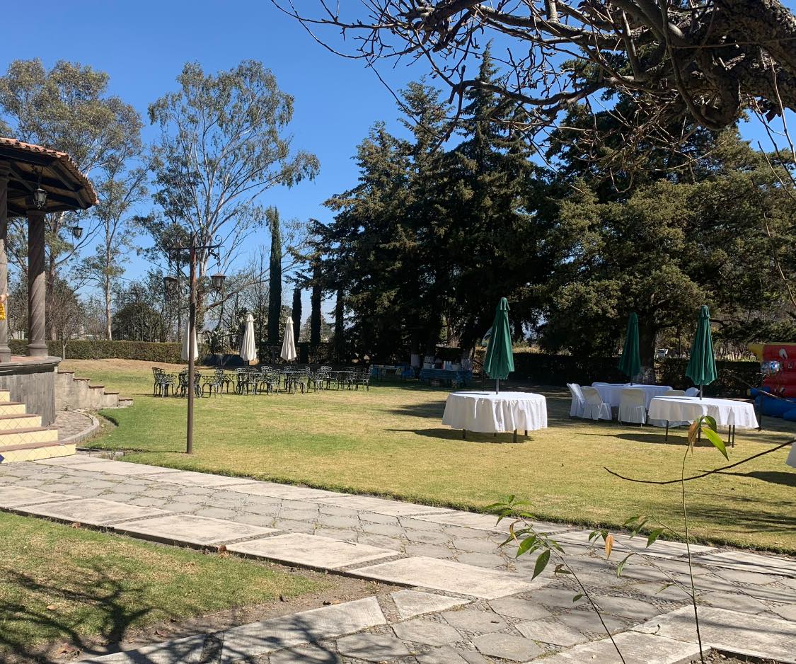 Restaurant Bar "Las Cúpulas" image 6