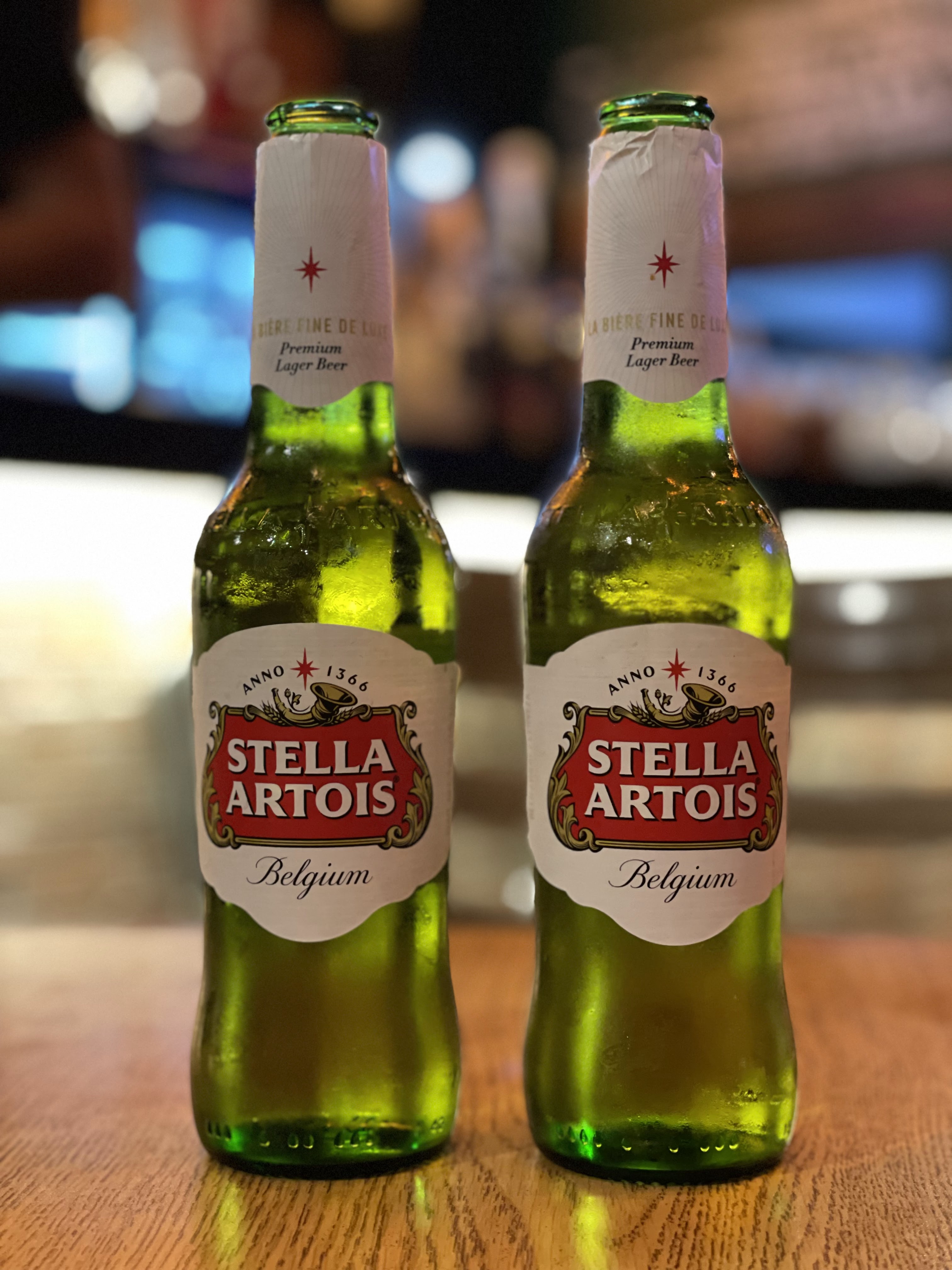 La Marmota Mirador image 5