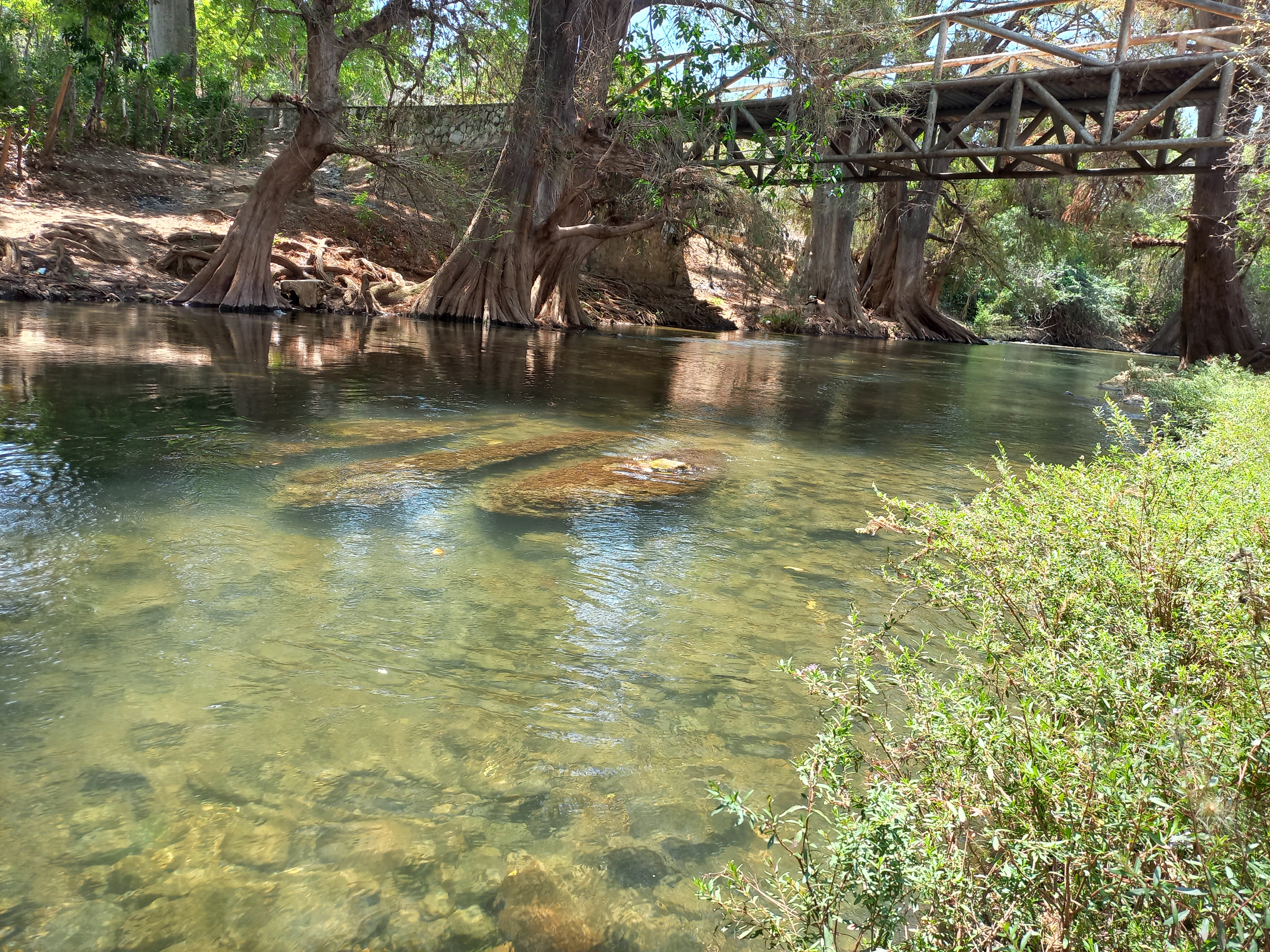 PAPALA RIO FRIO image 1
