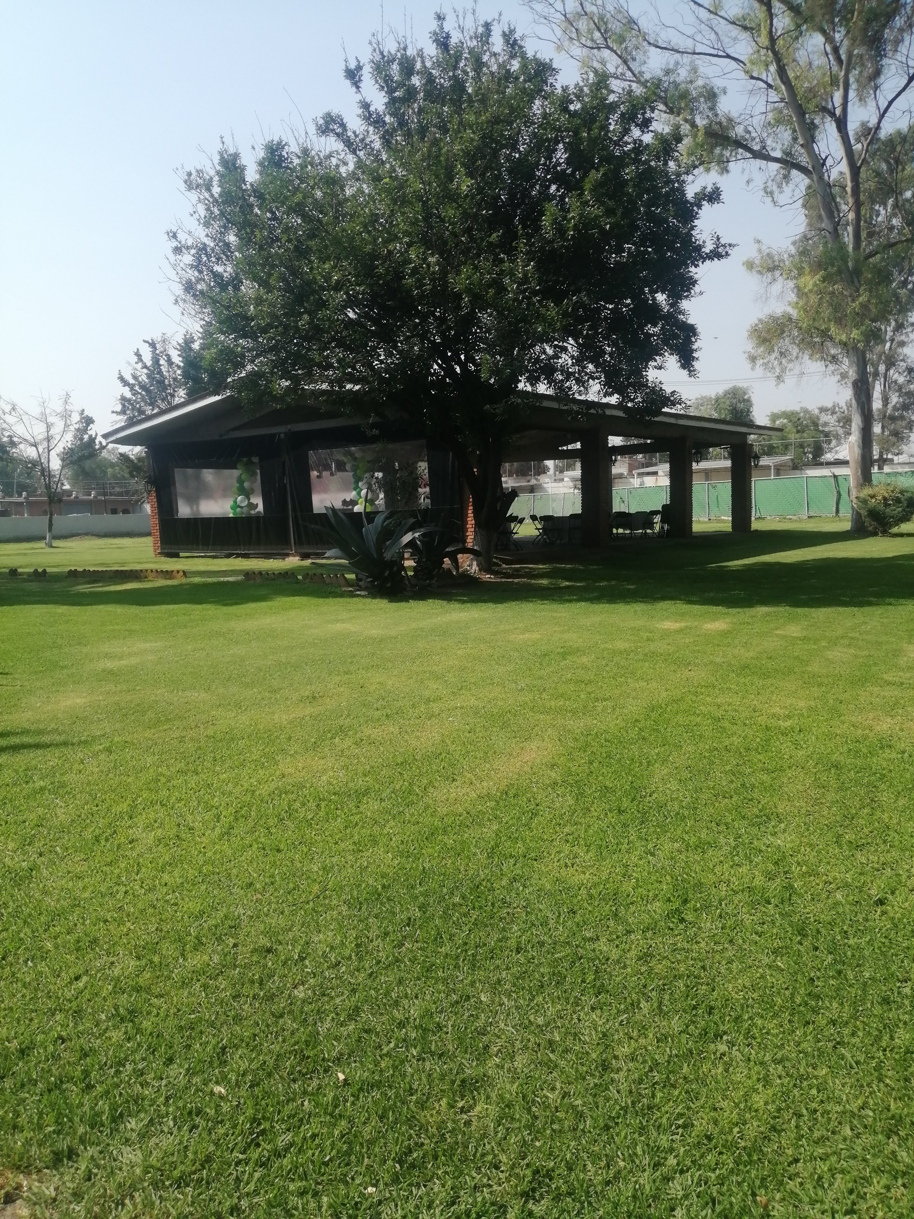 Empacadora El Arbolito image 1