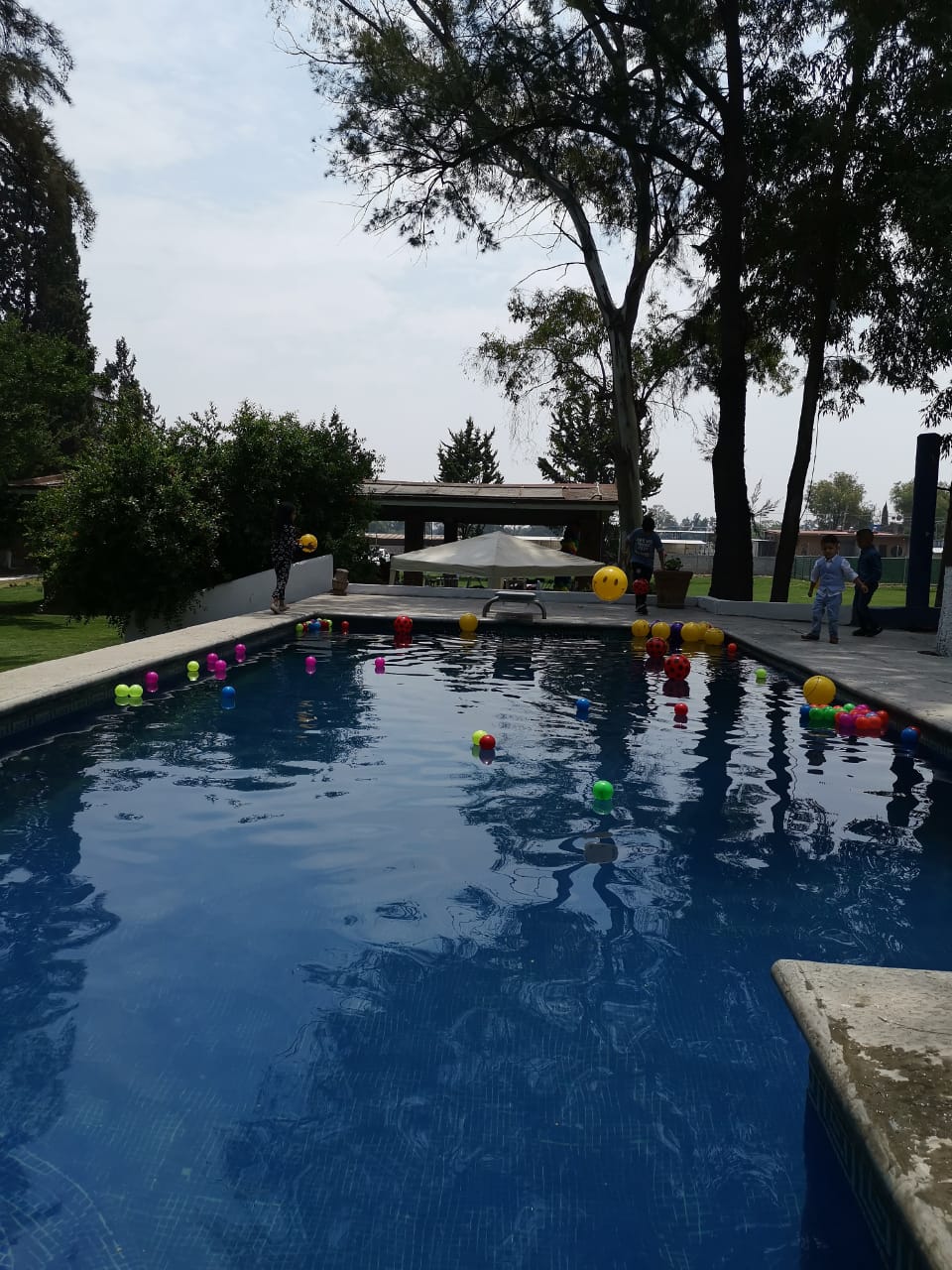 Empacadora El Arbolito image 2