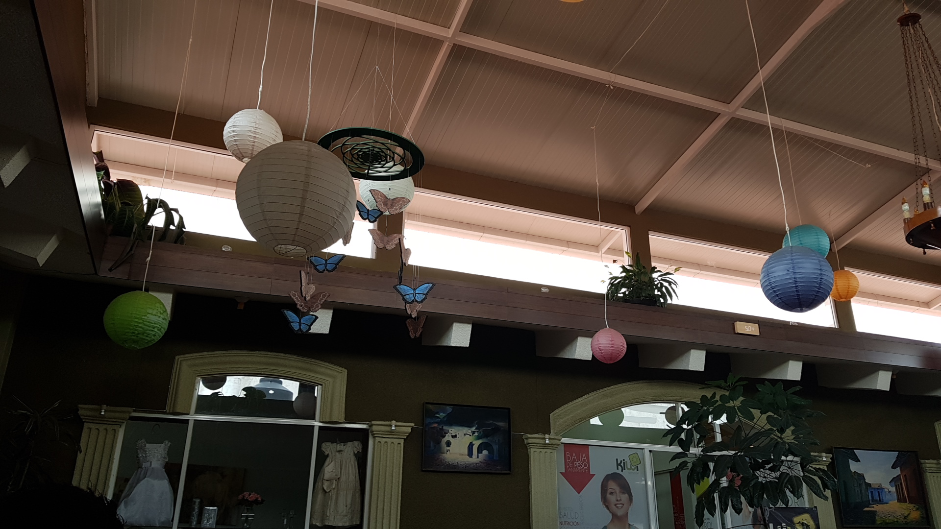 express huatusco image 9