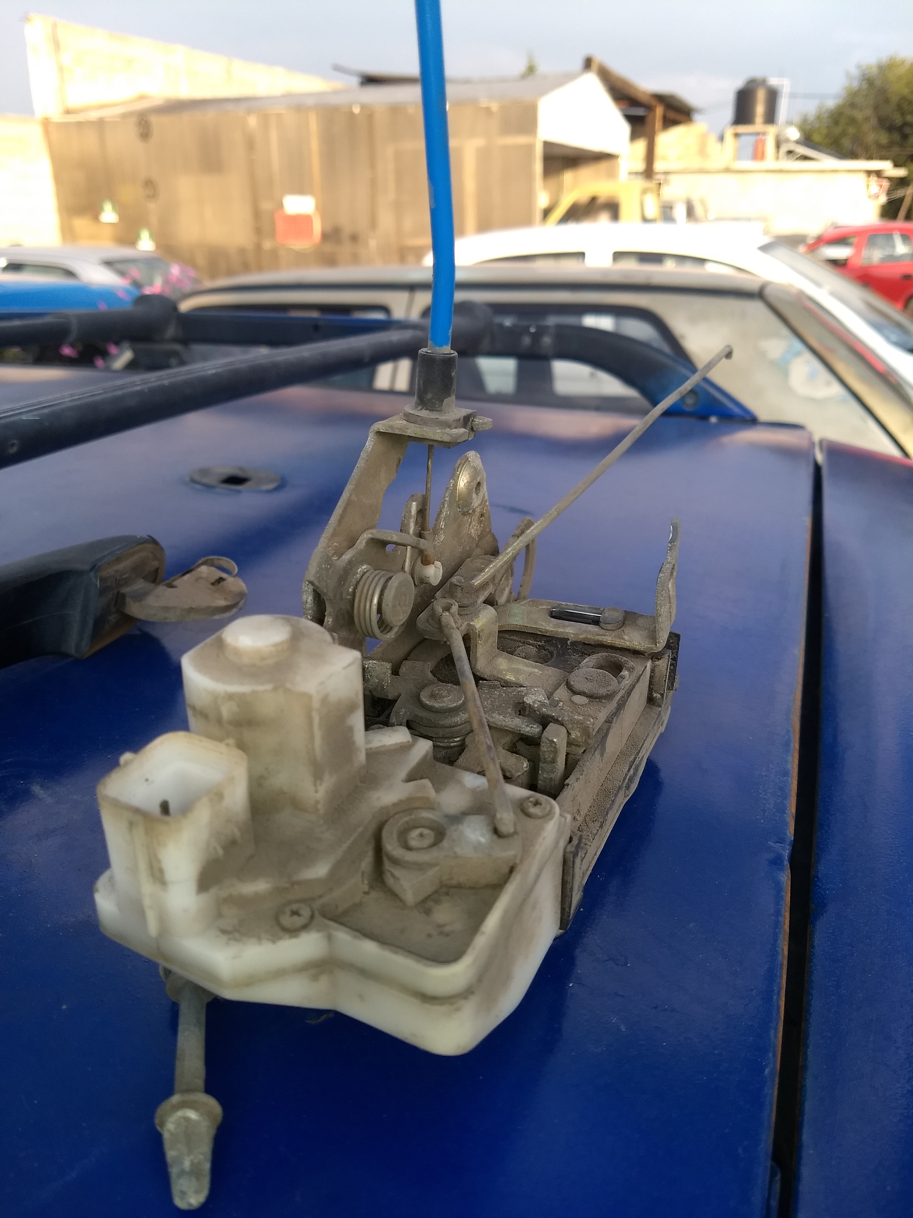 El TESTERAZO image 2