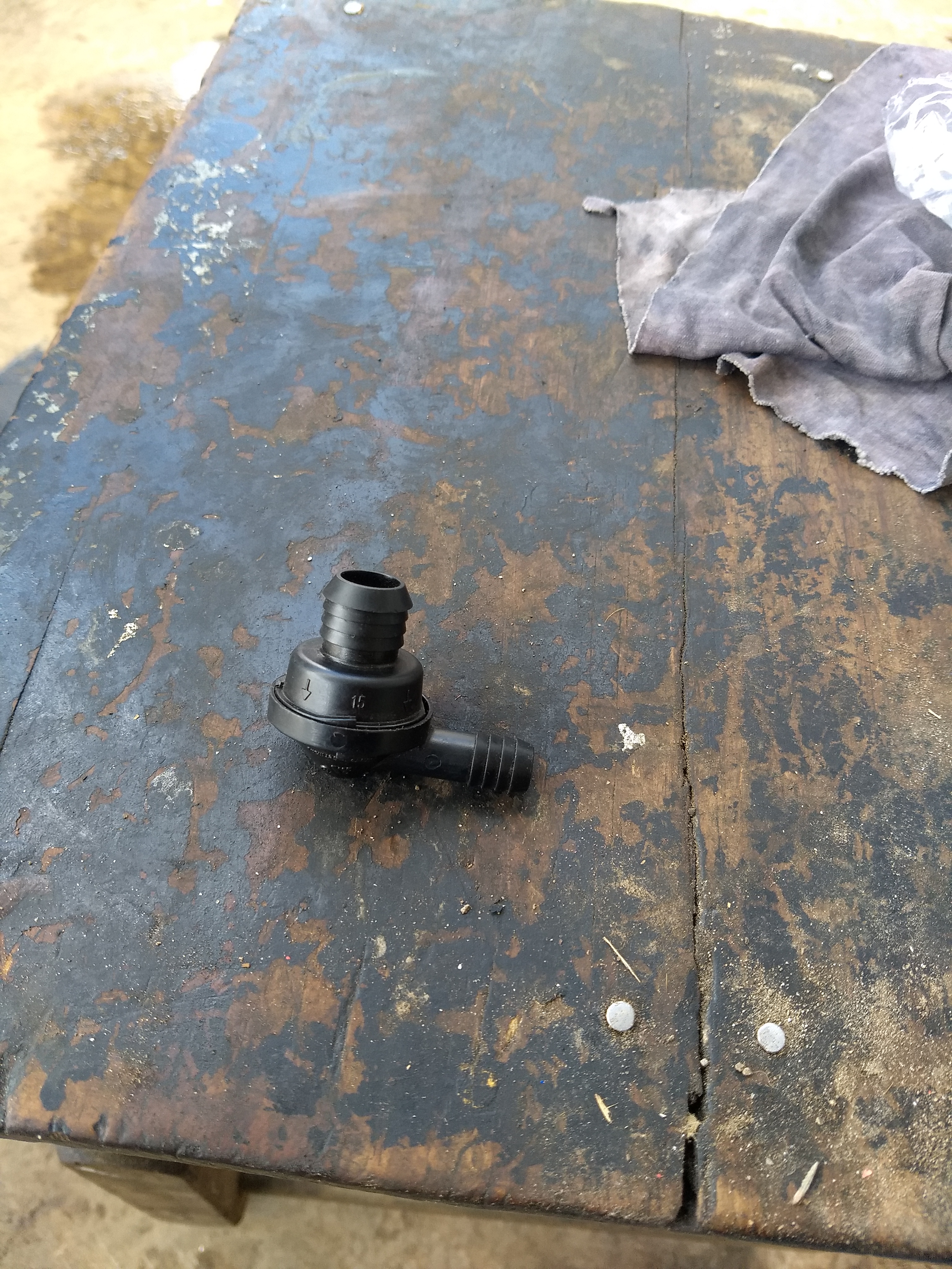 El TESTERAZO image 4