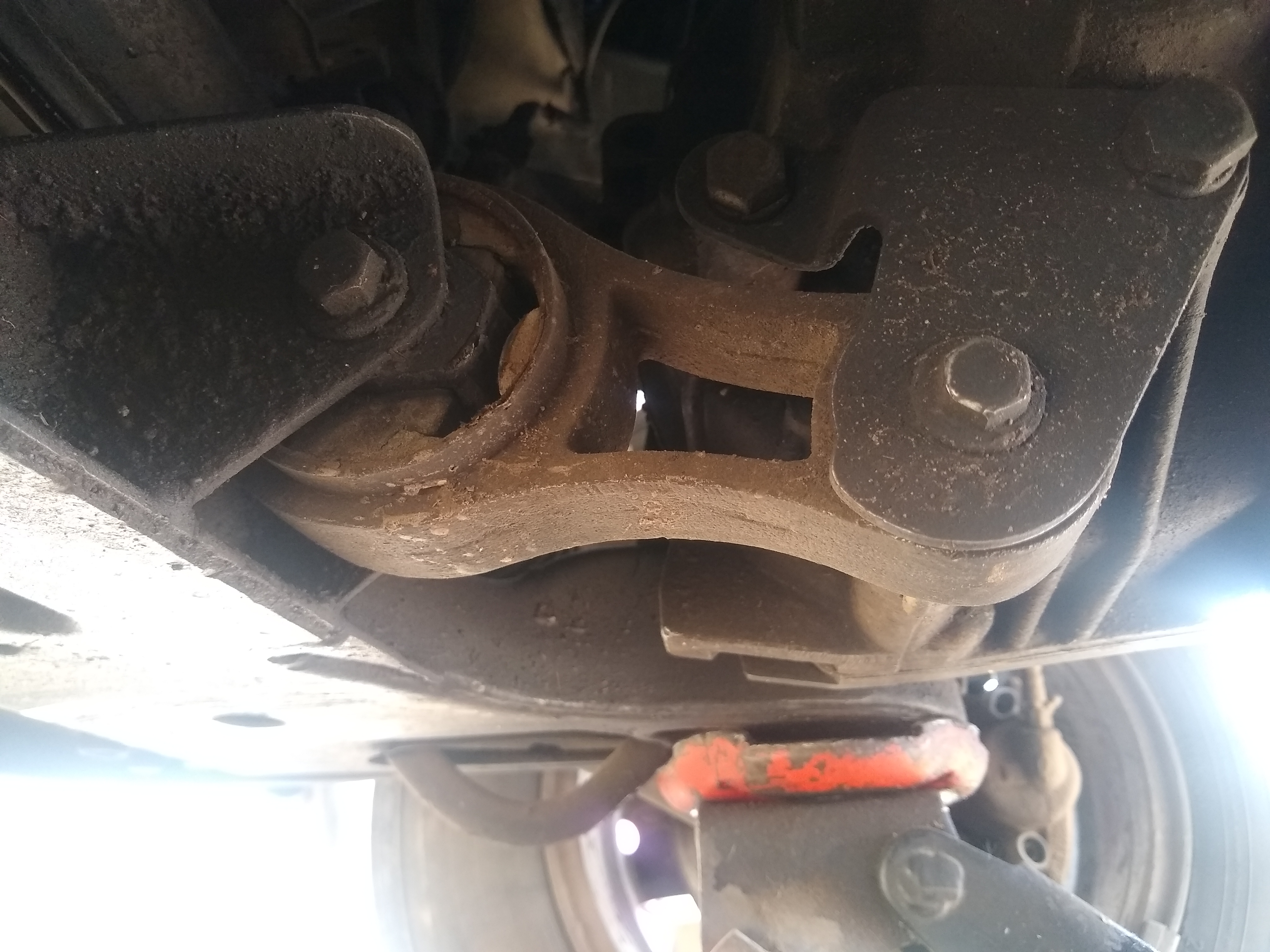 El TESTERAZO image 6