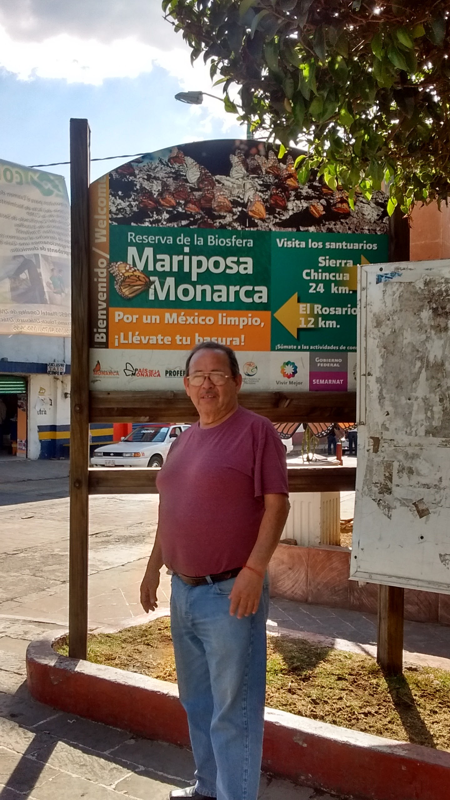 Taquería los Camineros image 5