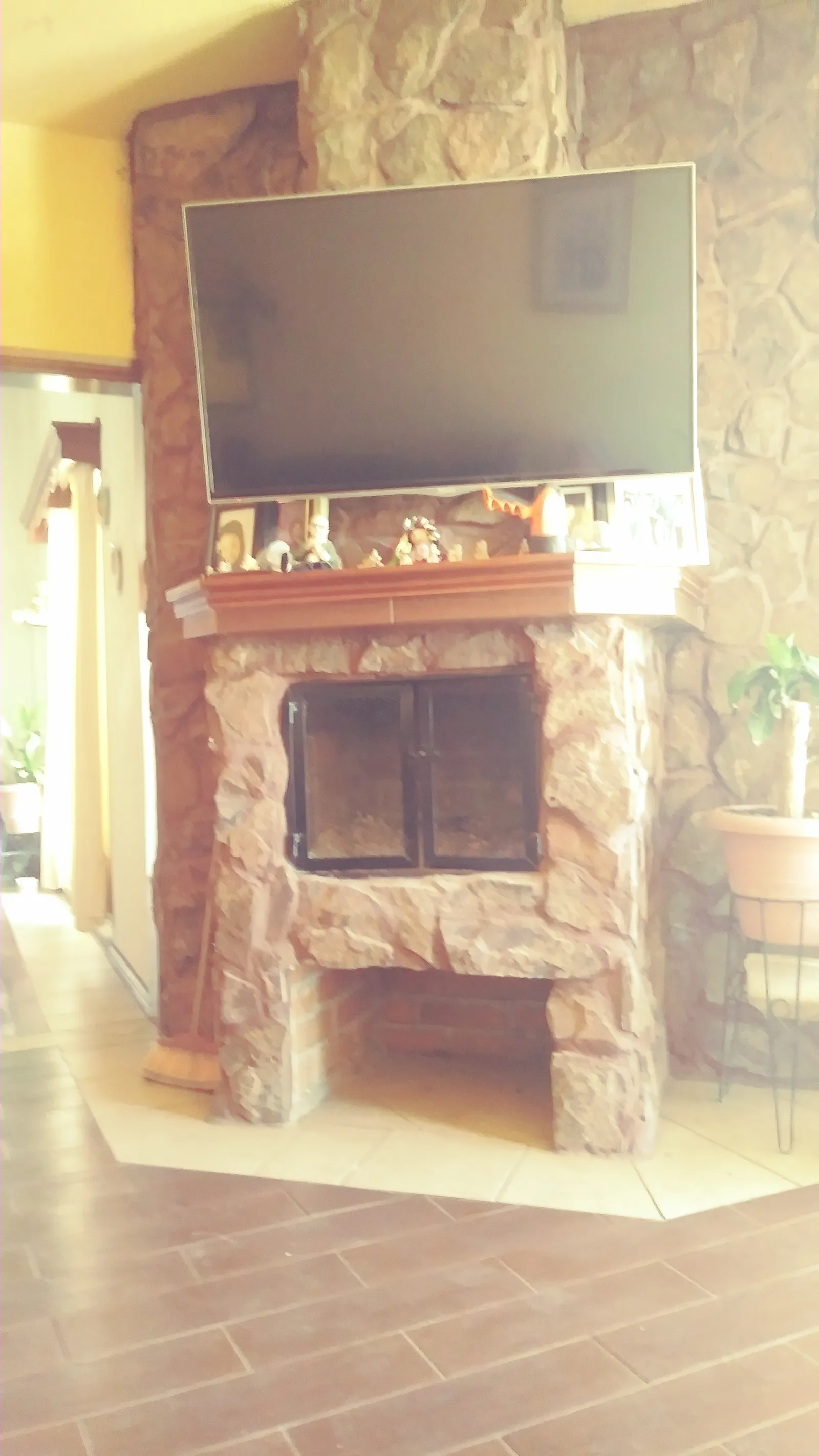 Tacotorro image 1