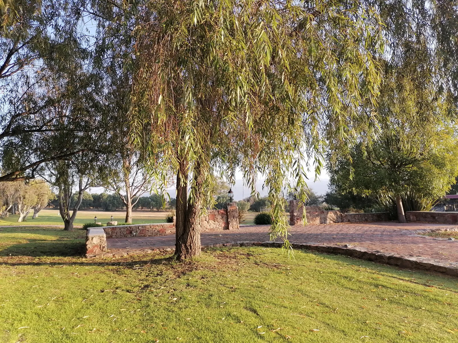 Purísima de Chamacuero image 5