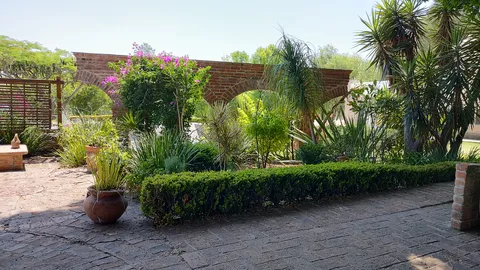 Purísima de Chamacuero image 7
