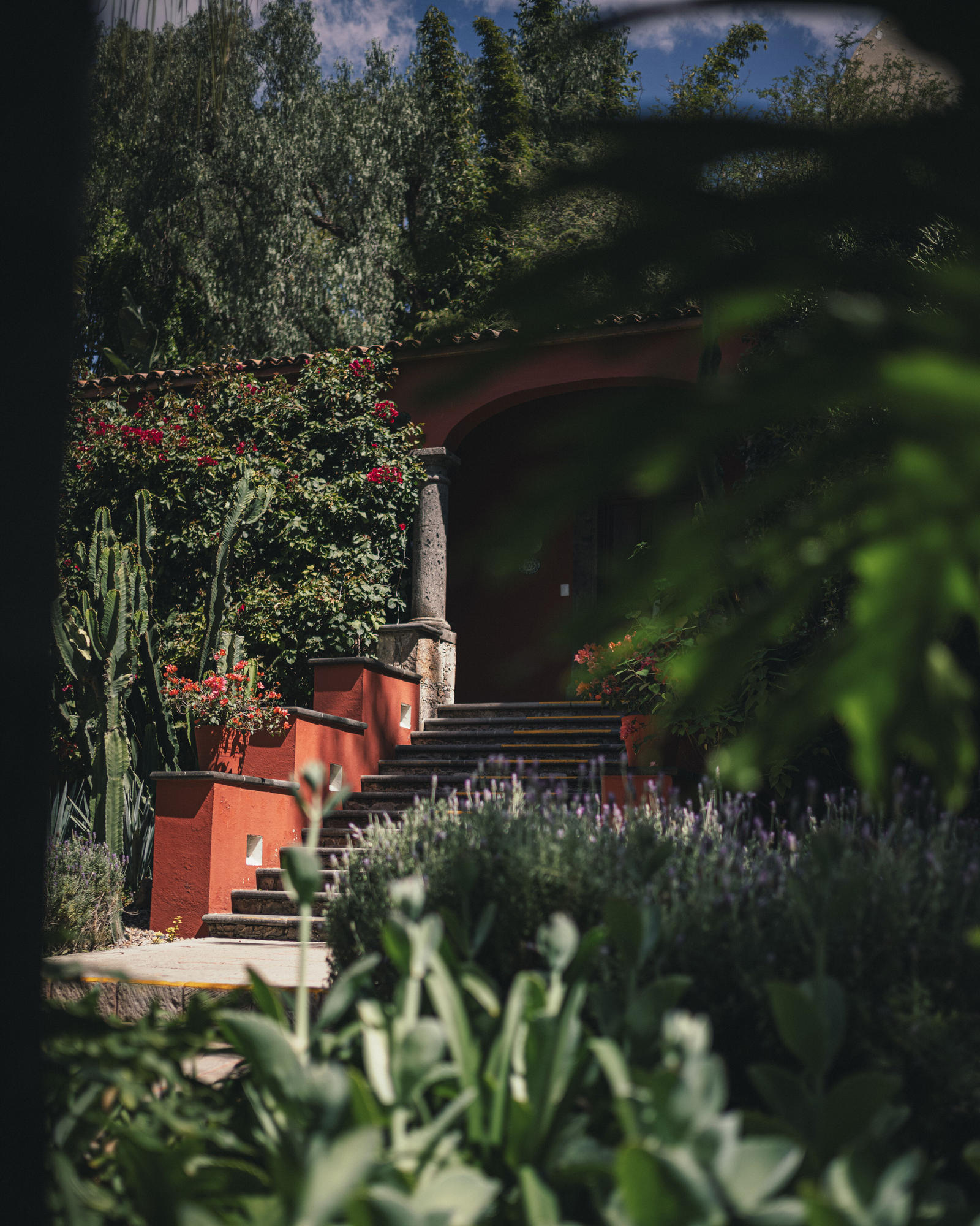 Restaurante del Parque image 8