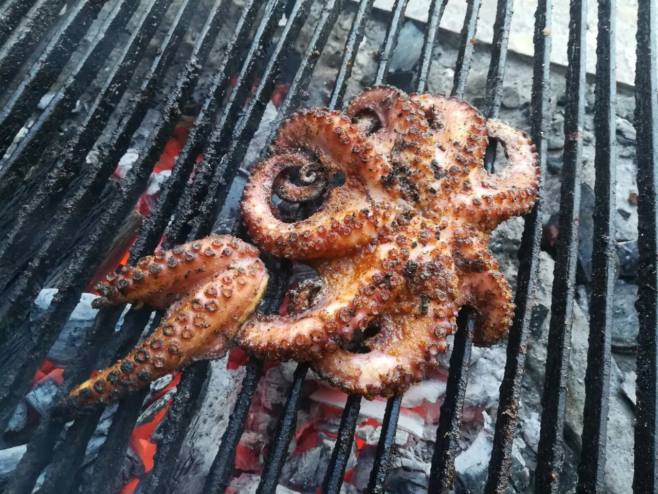 MARISCOS EL CAZADOR CAMPESTRE image 3