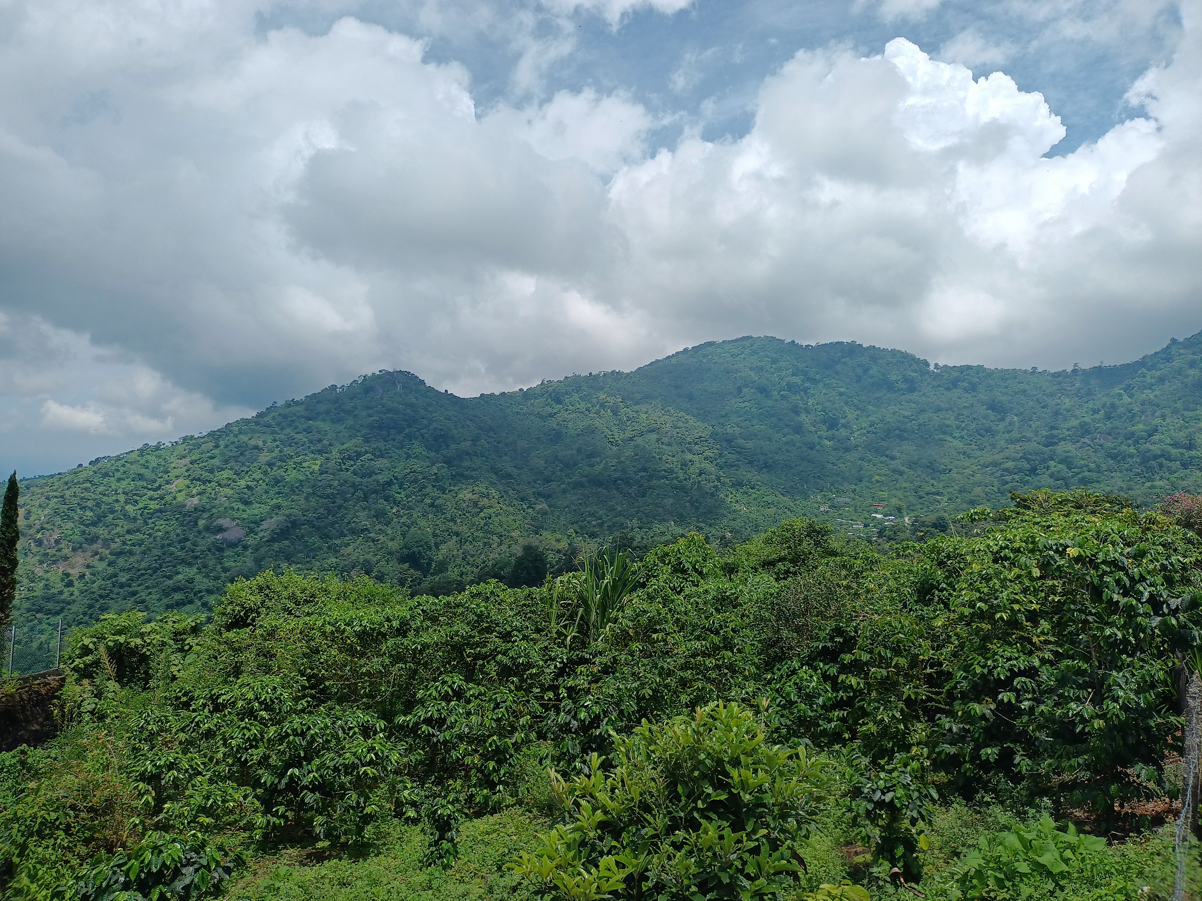 Donde Morayma Restaurante + cafe image 6