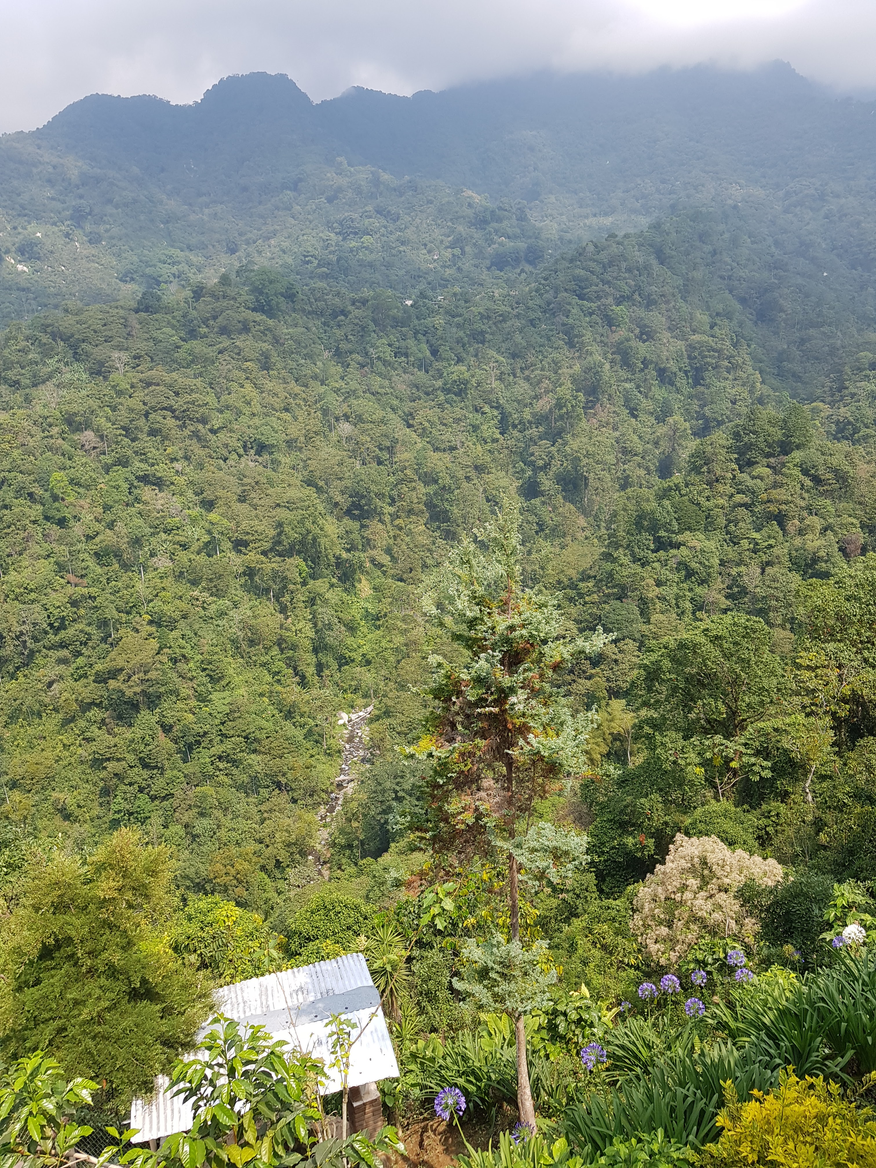 Restaurante El mirador image 4