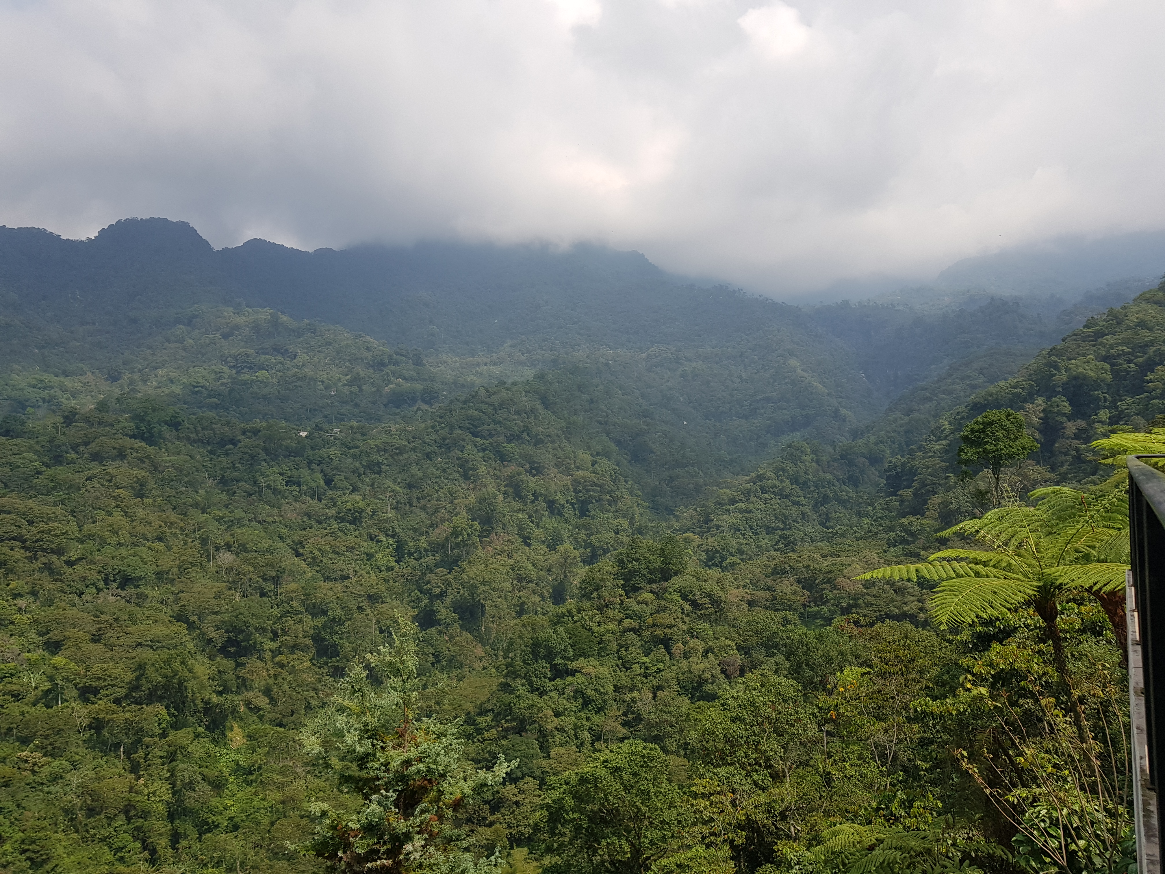 Restaurante El mirador image 6