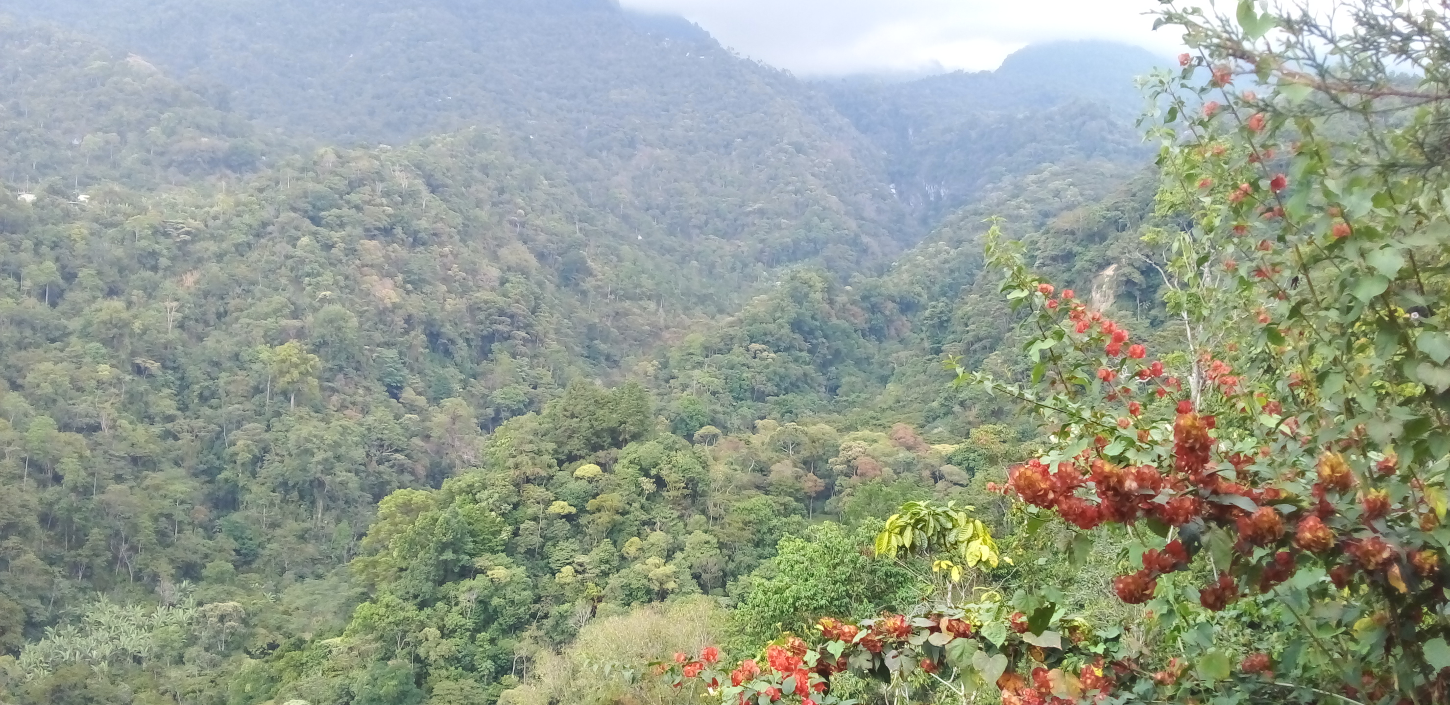 Restaurante El mirador image 8