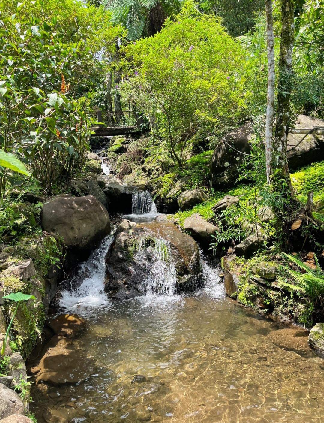 Centro Agroecoturistico Exóticos image 3
